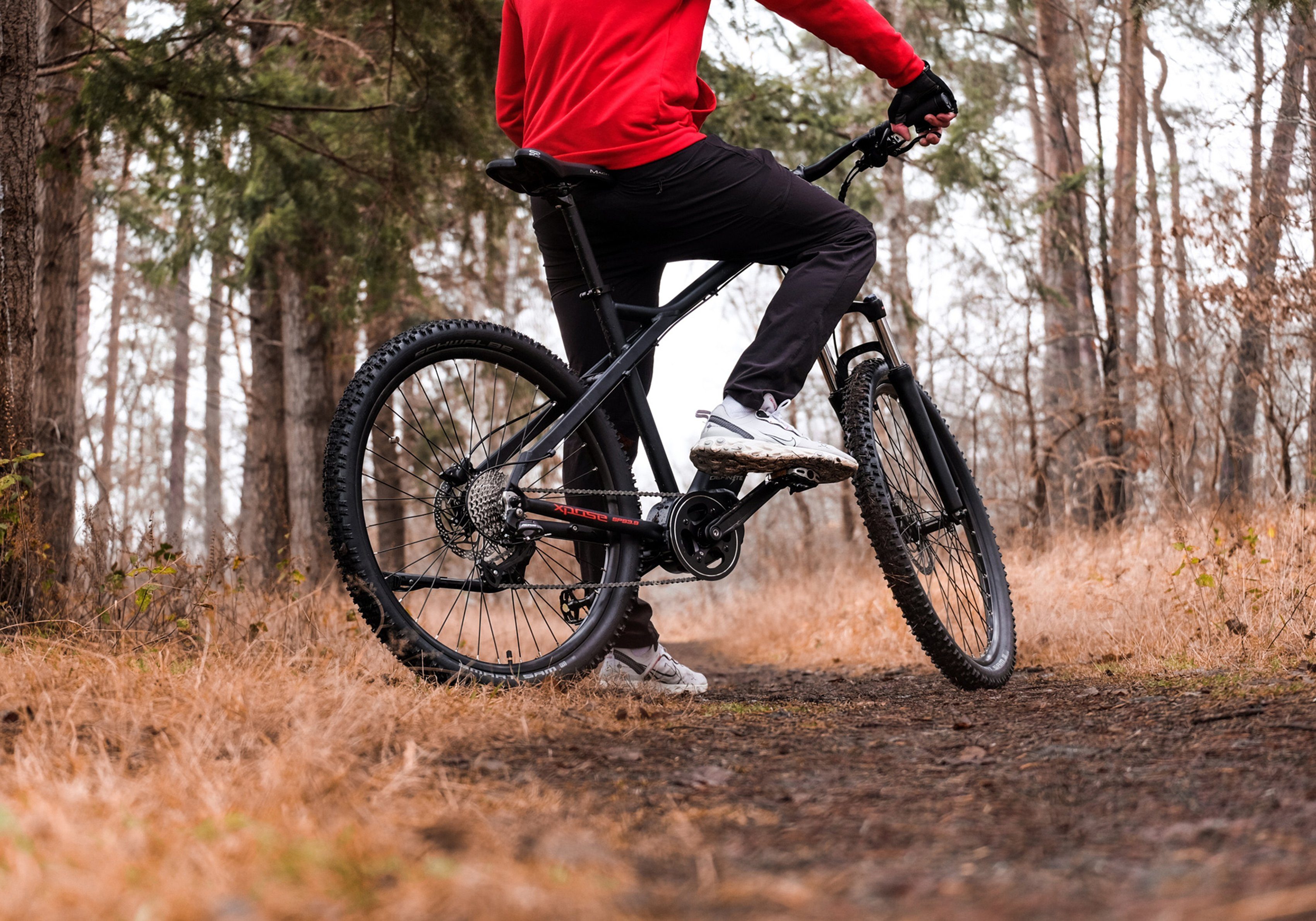 Adore E-bike XPOSE Pedelec, elektrische fiets voor dames en heren, MTB