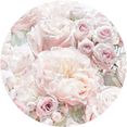 komar fotobehang pink and cream roses 125 x 125 cm (set, 1 stuk) roze