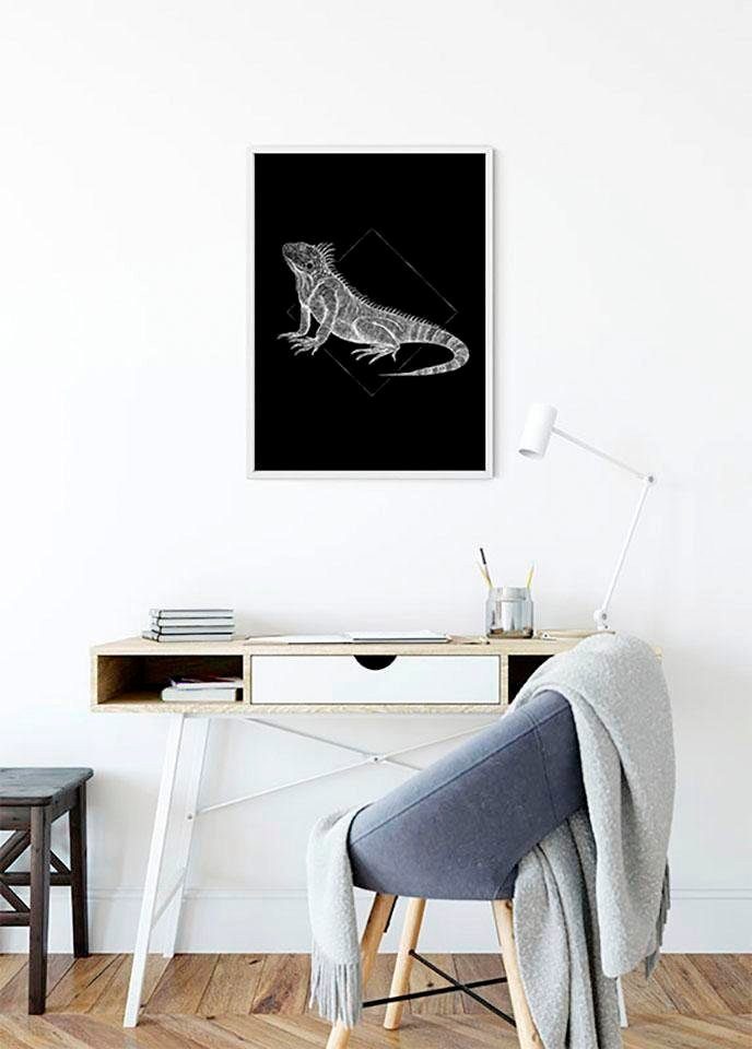 Komar Wanddecoratie Iguana black Wanddecoratie - zonder lijst (1 stuk)
