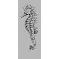 komar vliesbehang seahorse scherm grijs