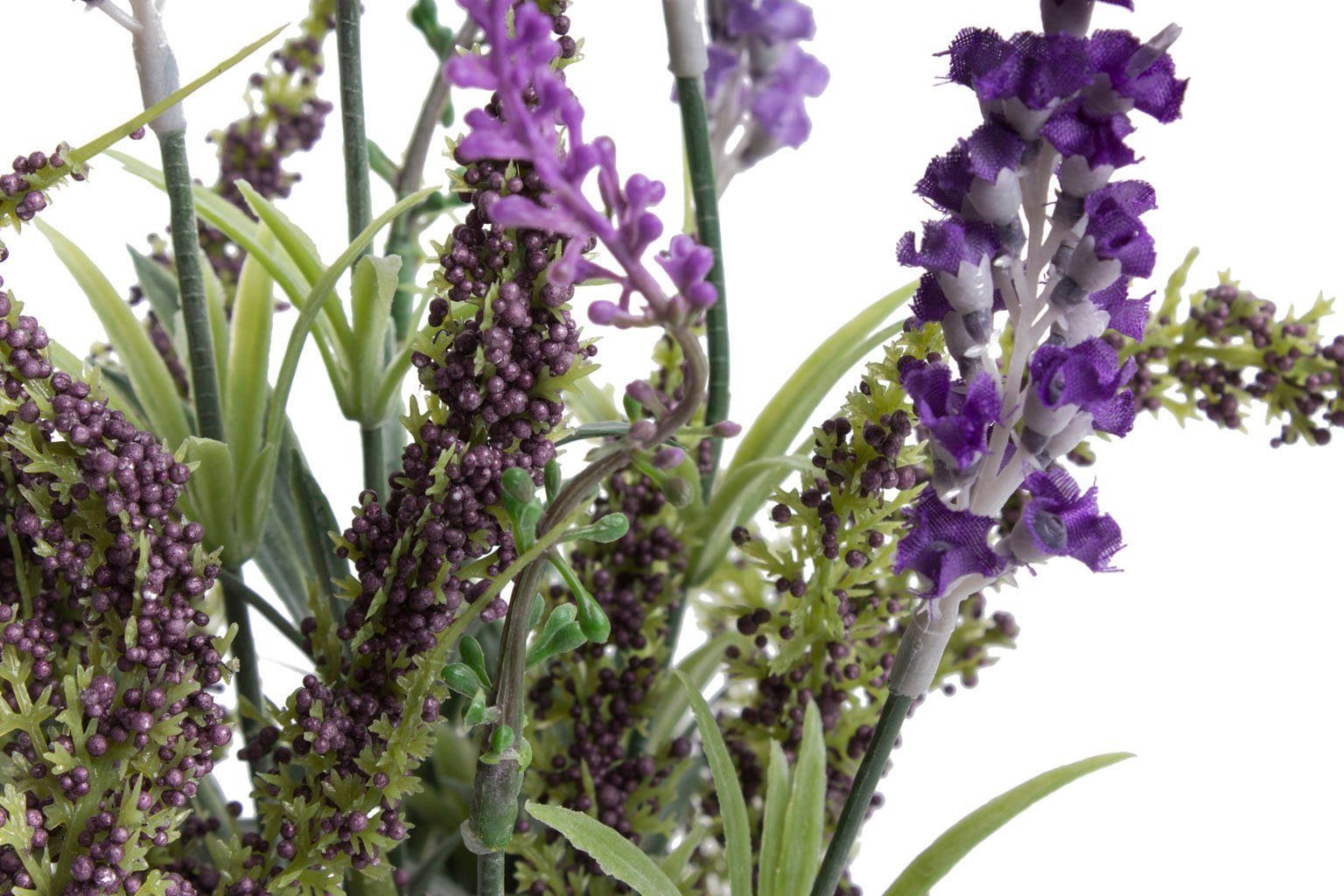 Botanic-Haus Kunst-potplanten Lavendel - erica arrangement in mand (1 stuk)
