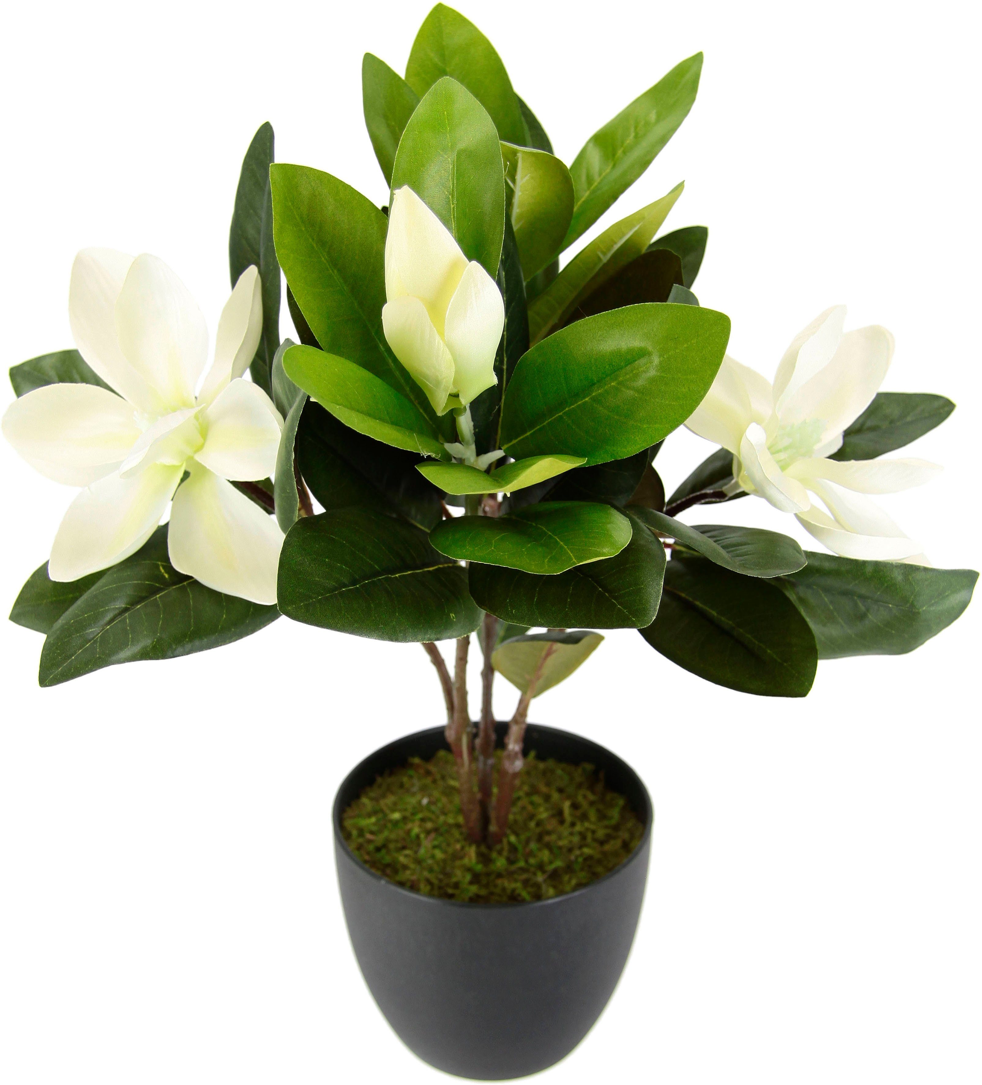 I.GE.A. Kunstbloem MAGNOLIE In pot magnolia struik kunstmatig lente zijdenbloemen kamerdecoratie kunstbloemen wit