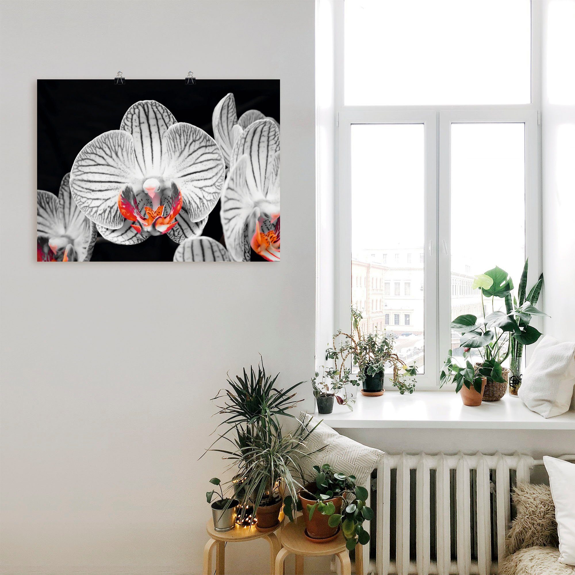 Artland Poster Orchidee abstracte collage IV als artprint op linnen, muursticker of poster in verschillende maten