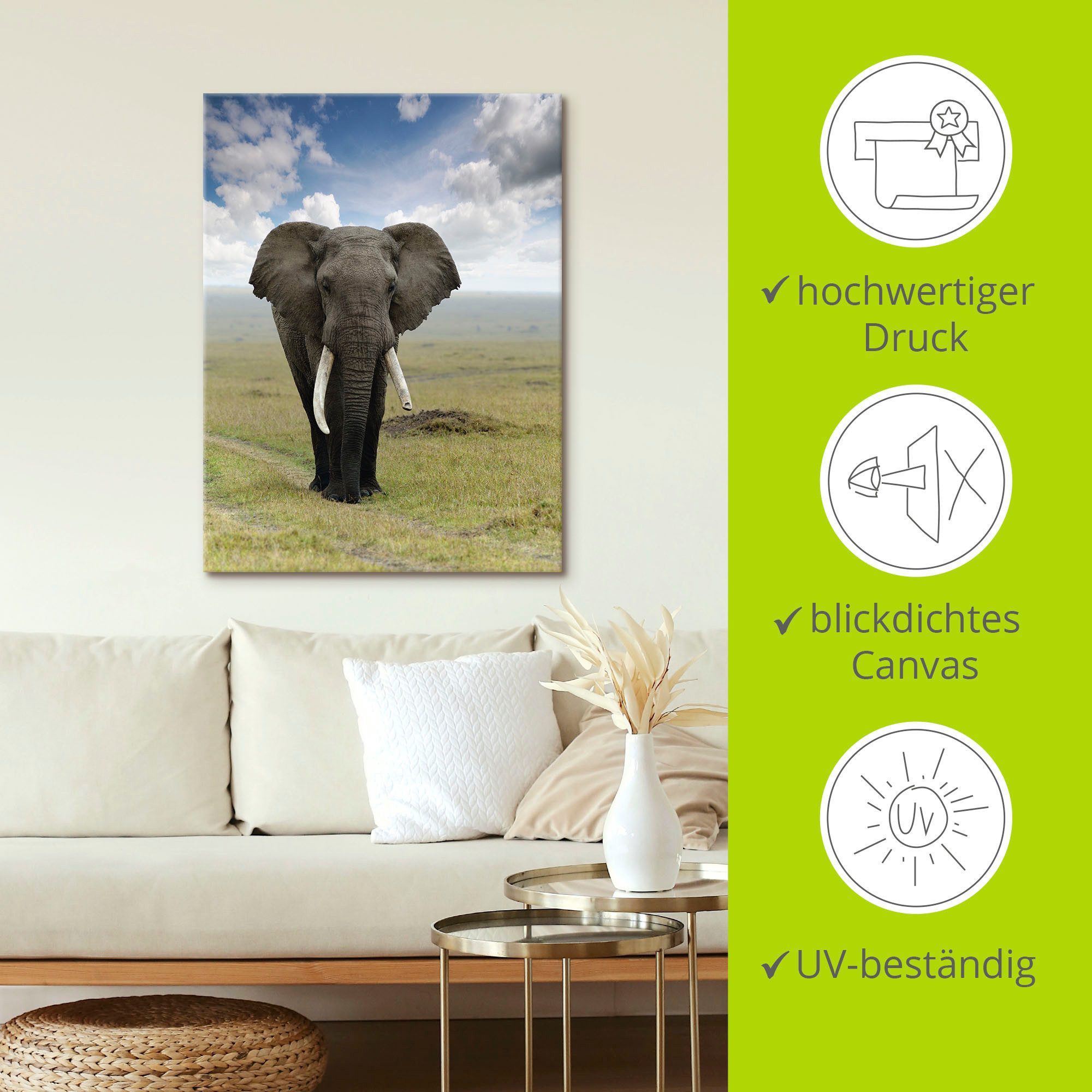 Artland Artprint Olifant als artprint van aluminium, artprint voor buiten, artprint op linnen, poster in verschillende maten. maten