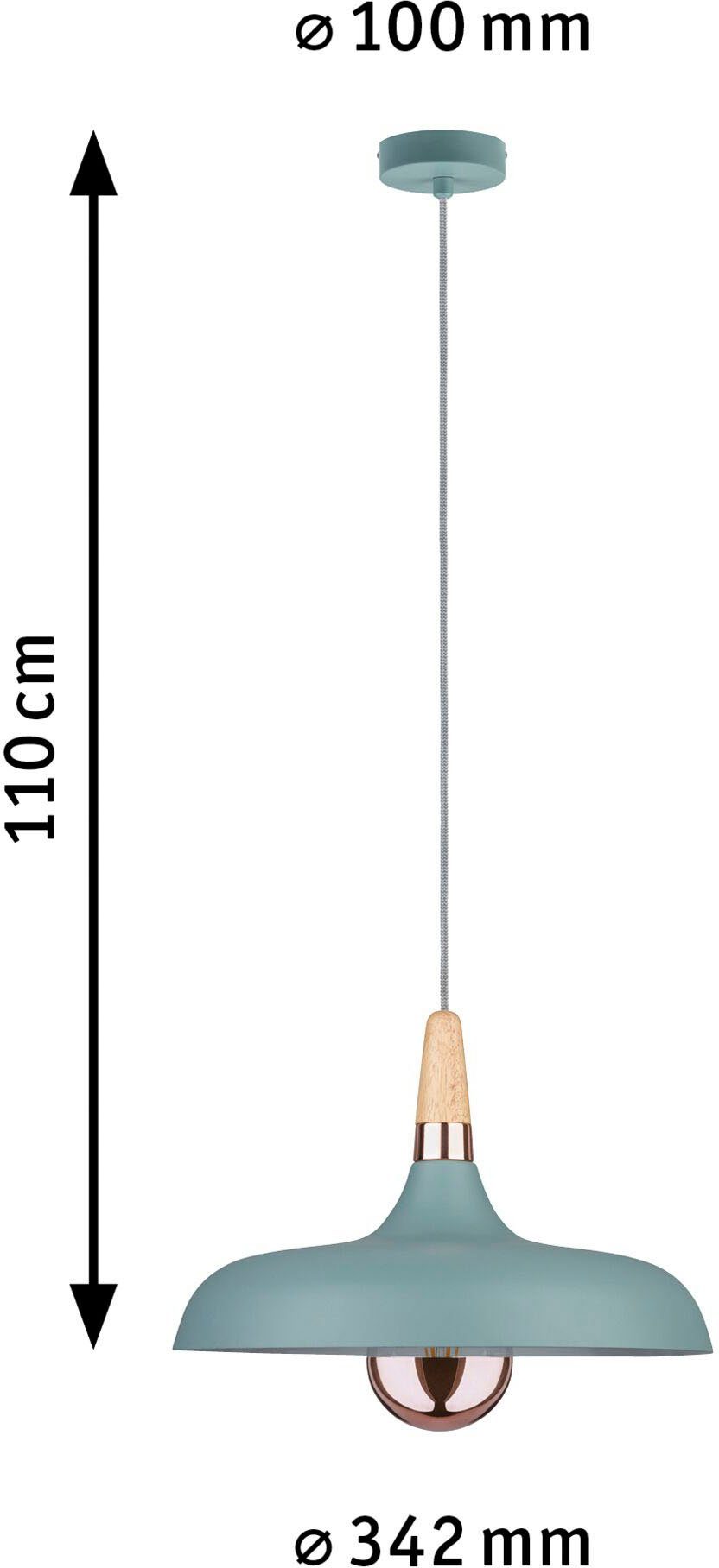 Paulmann Led-hanglamp Juna (1 stuk)