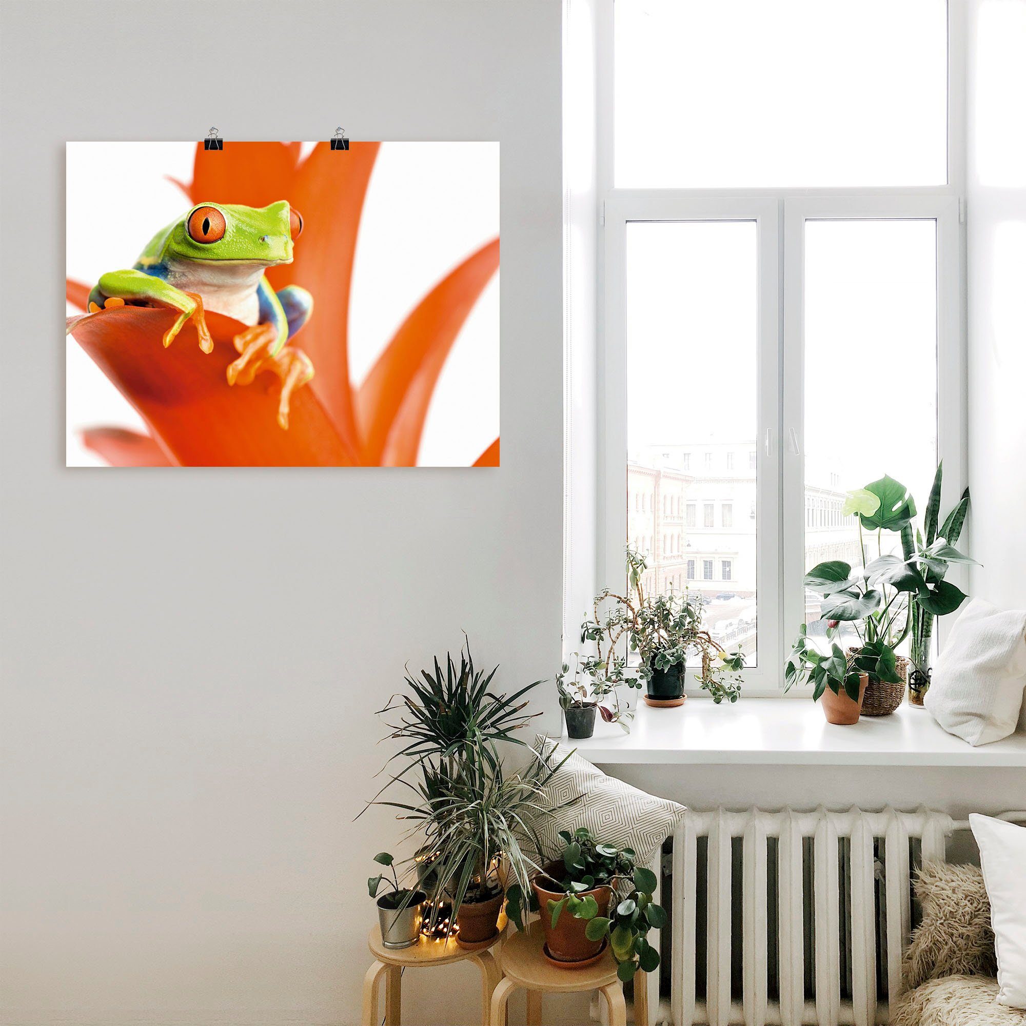 Artland Artprint Kikker op zijn troon als artprint van aluminium, artprint op linnen, muursticker of poster in verschillende maten