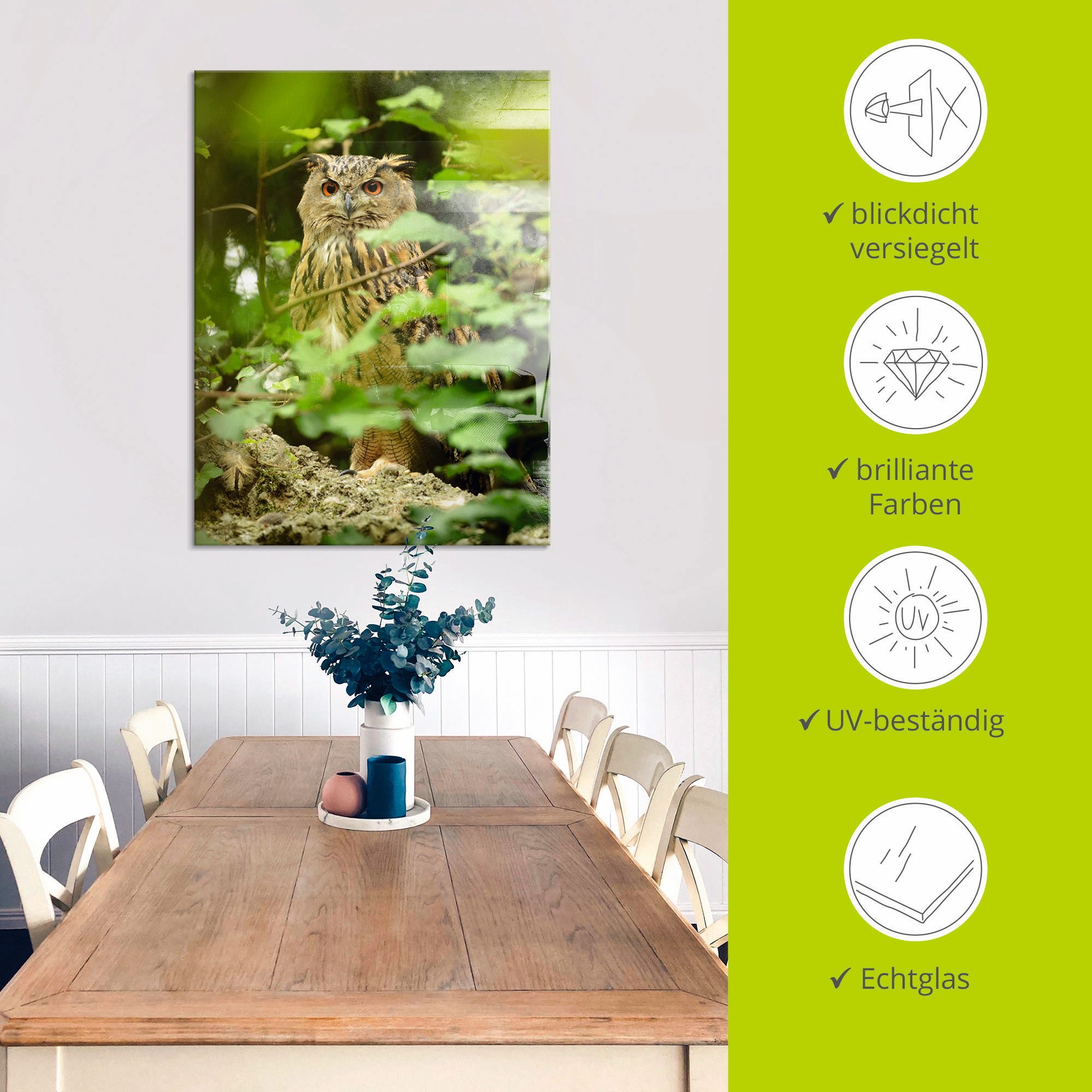 Artland Print op glas Vogel oehoe in verschillende maten