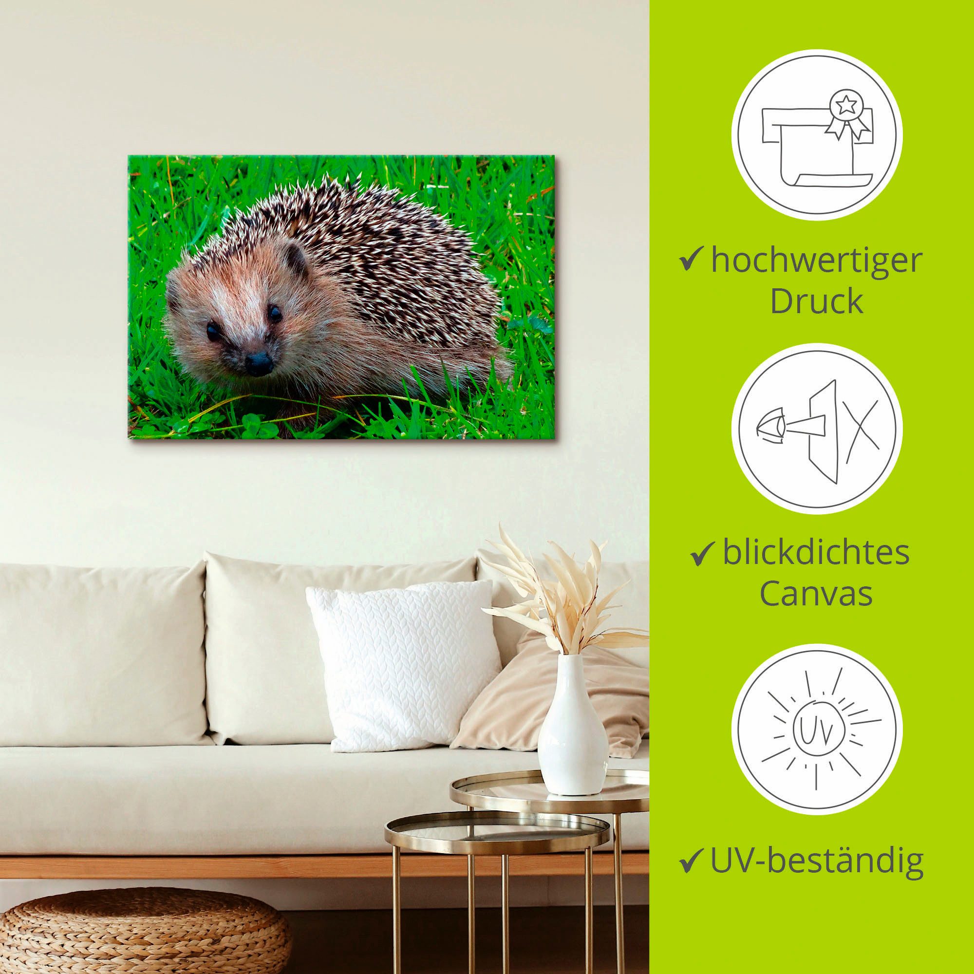 Artland Artprint op linnen Egel blik gespannen op een spieraam