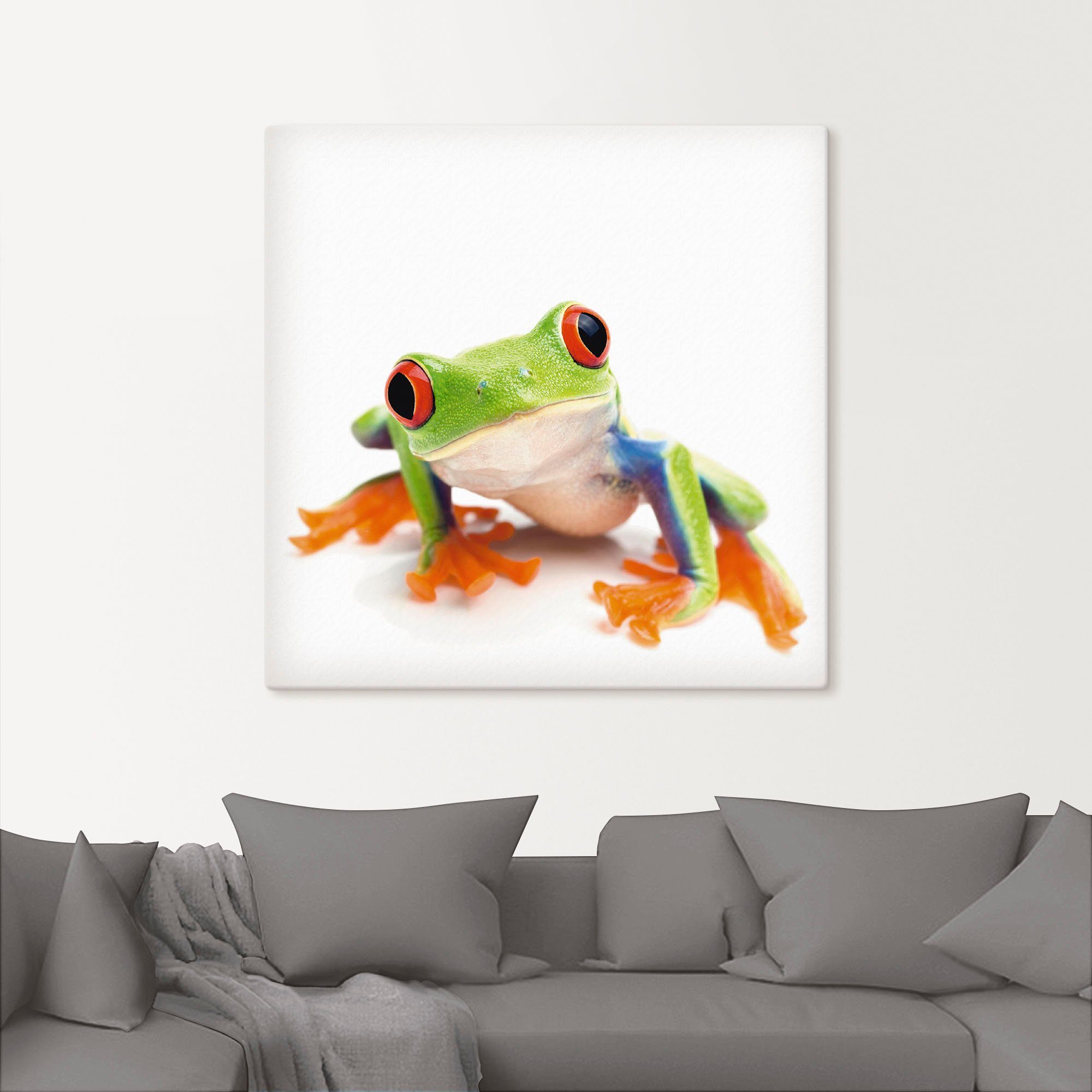 Artland Artprint Close up van een kikker voor wit als artprint van aluminium, artprint voor buiten, artprint op linnen in verschillende maten