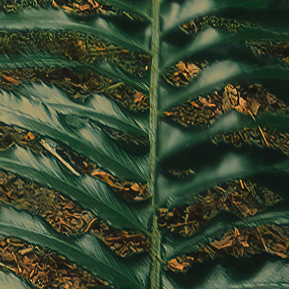 Komar Fotobehang Digitale print vlies - Hall of Mosses - Afmeting 400 x 250 cm (1 stuk)