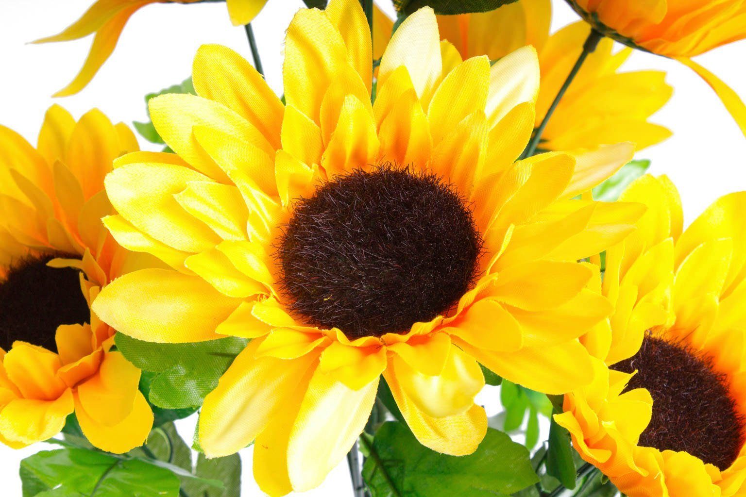 Botanic-Haus Kunstbloem Zonnebloemen (set, 2 stuks)