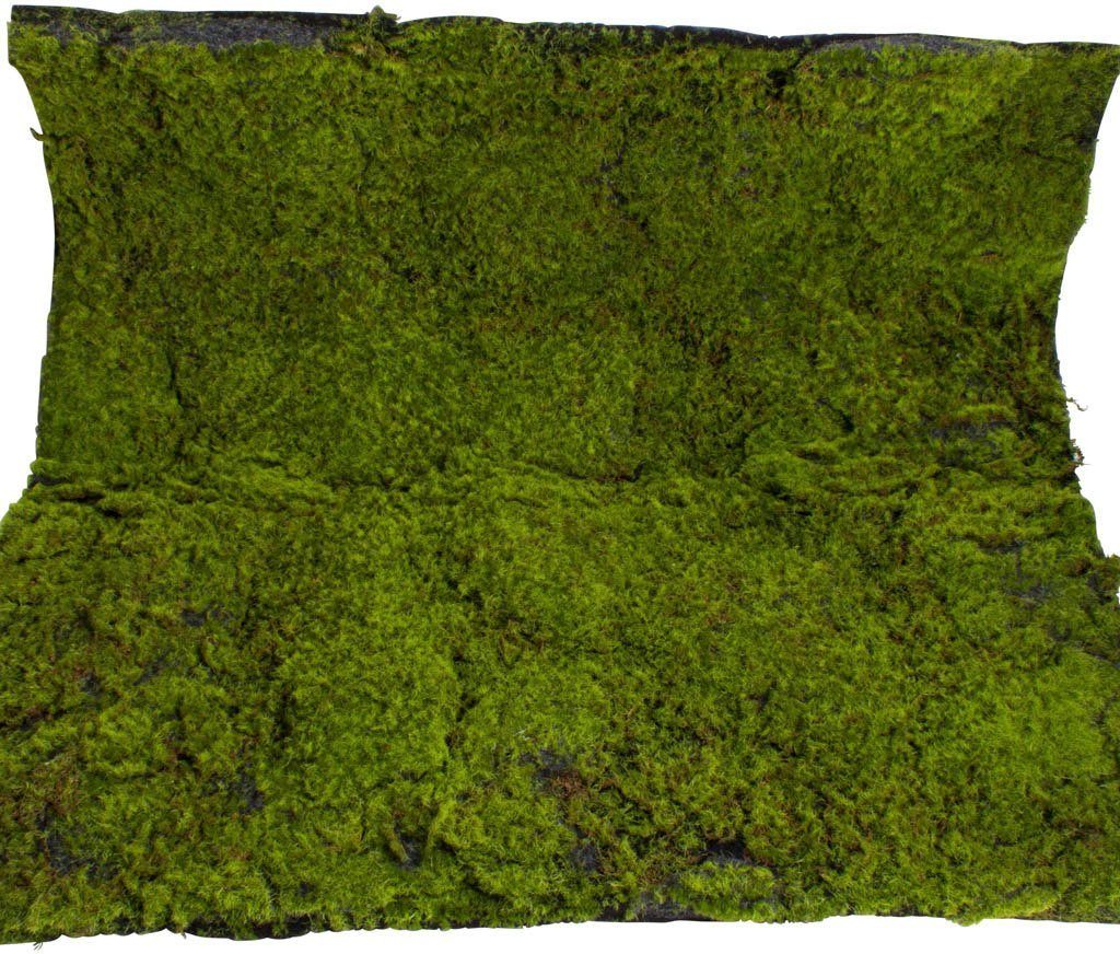 Botanic-Haus Kunst-potplanten Mosmat (1 stuk)