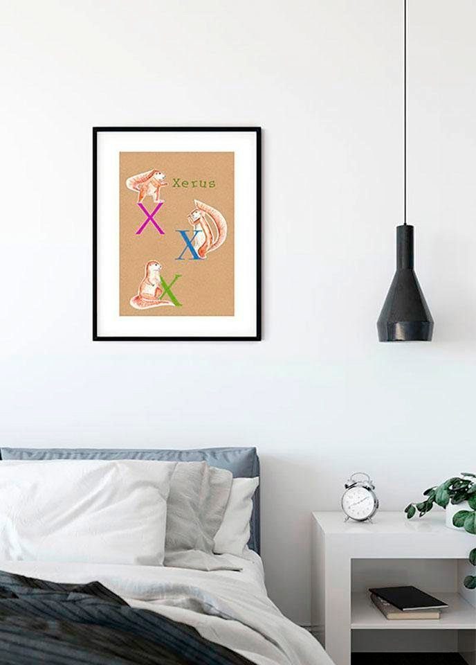 Komar Wanddecoratie ABC Animal X Wanddecoratie - zonder lijst (1 stuk)