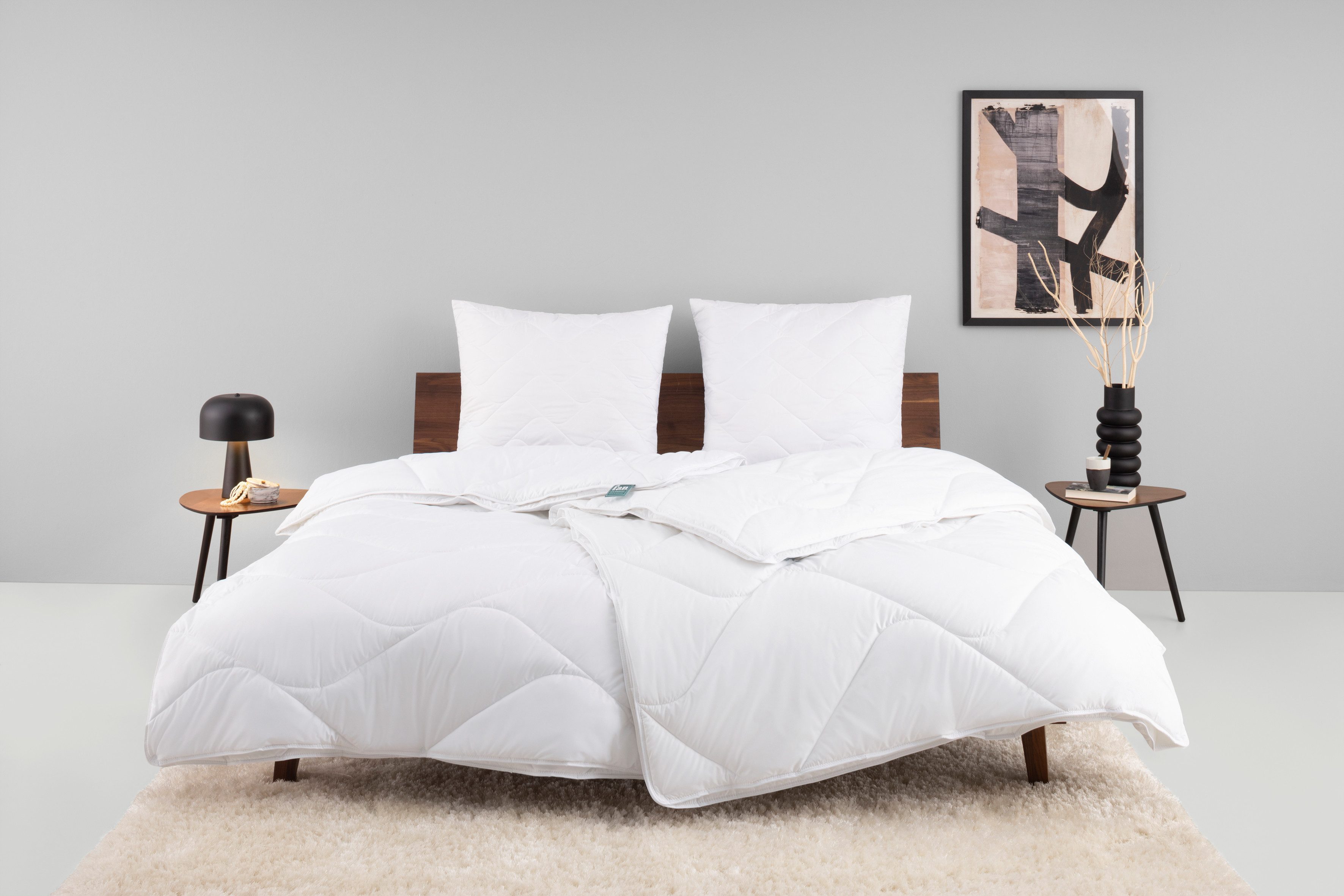 f.a.n. Frankenstolz Synthetisch dekbed + hoofdkussen Beddengoed in 135x200 cm, voor zomer of 4-seizoenen (voordeelset)