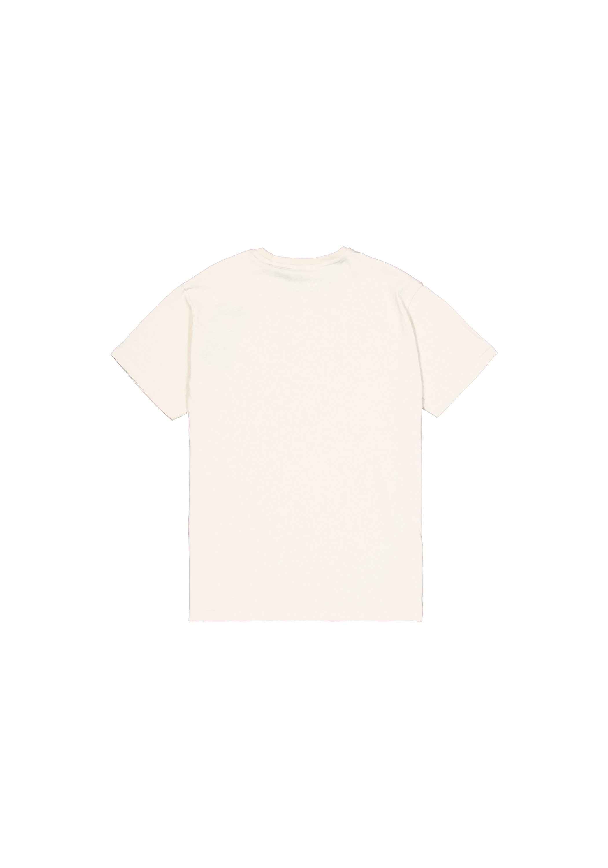 Alpha Industries T-shirt Basic T-Shirt BL Carbon