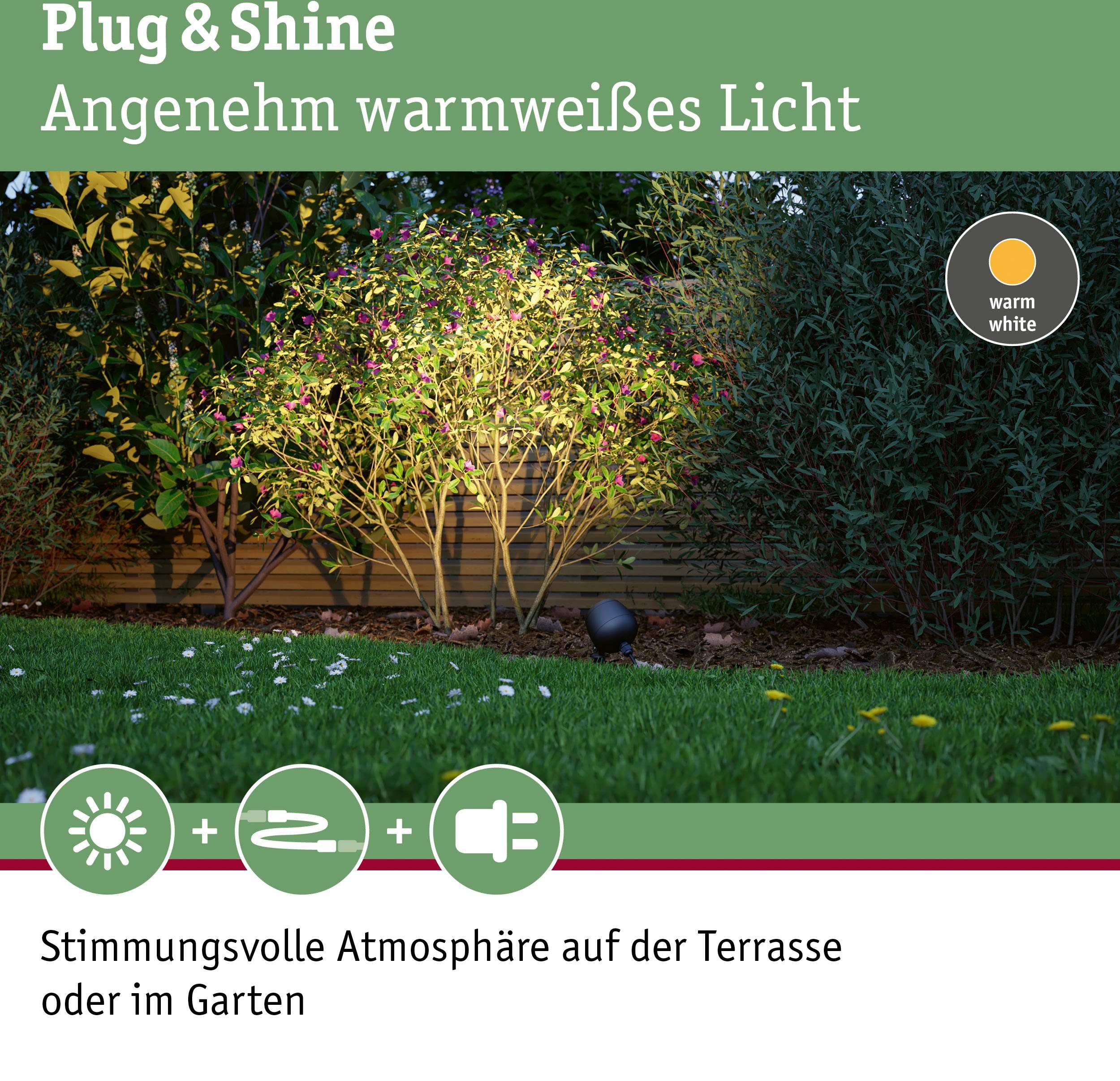 Paulmann Led-tuinverlichting Buiten Plug & Shine Spot Kikolo 20° 3000K Antraciet (1 stuk)