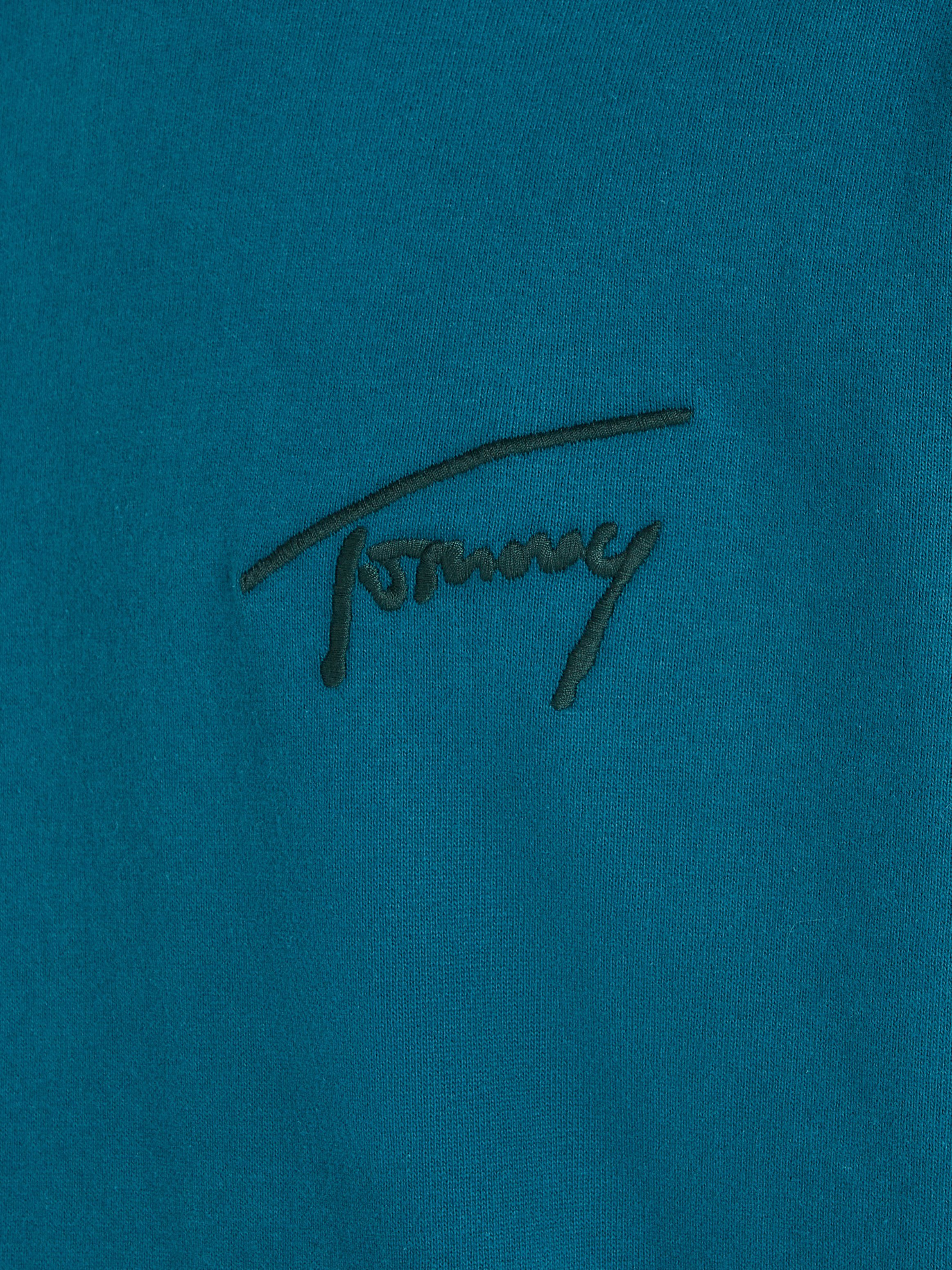 TOMMY JEANS Hoodie TJM RLX SIGNATURE HOODIE EXT met geborduurd handtekening-logo