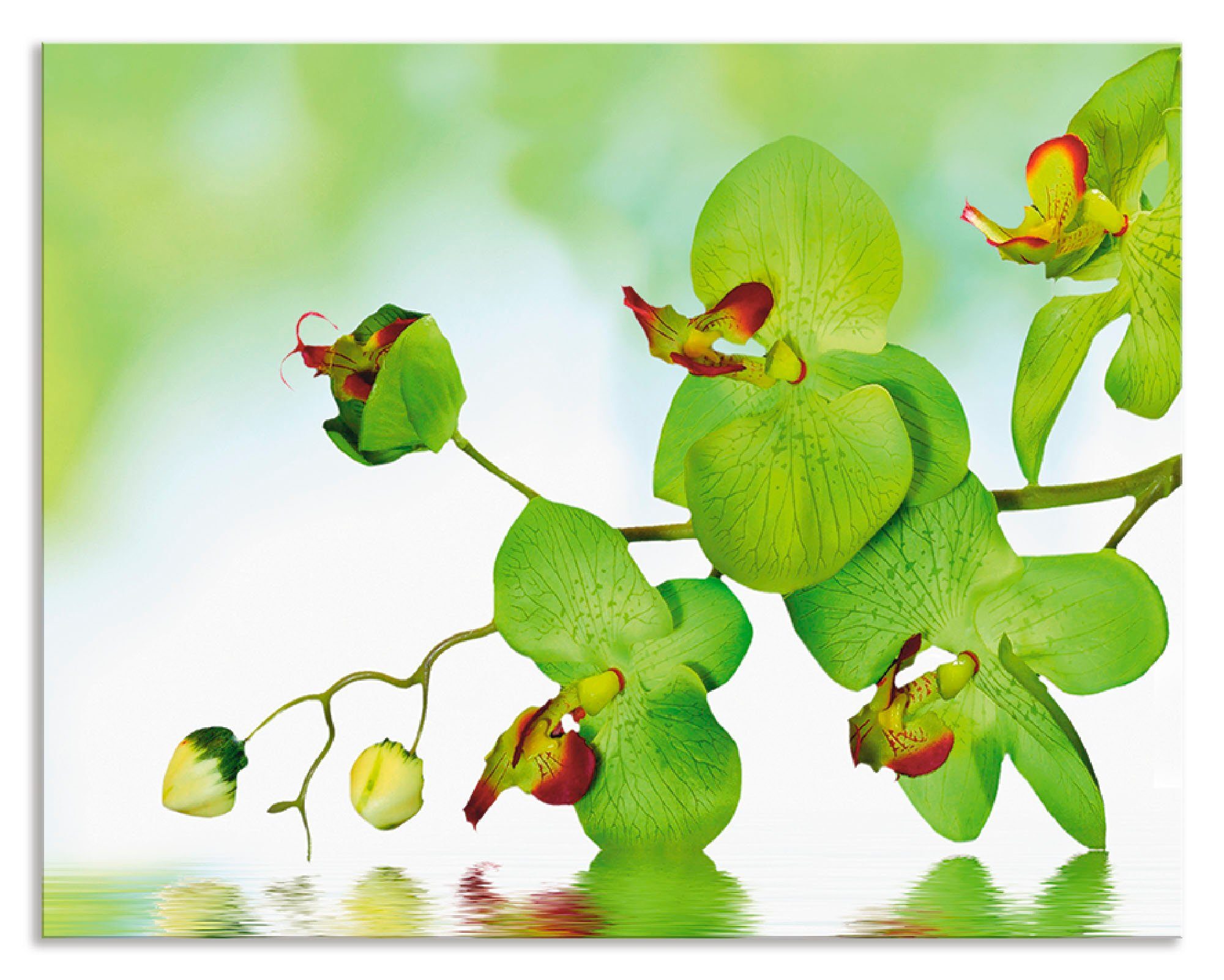 Artland Keukenwand Mooie orchidee met groene achtergrond zelfklevend in vele maten - spatscherm keuken achter kookplaat en spoelbak als wandbescherming tegen vet, water en vuil - a