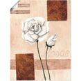artland artprint rosae - rozen in vele afmetingen  productsoorten - artprint van aluminium - artprint voor buiten, artprint op linnen, poster, muursticker - wandfolie ook geschikt voor de badkamer (1 stuk) beige