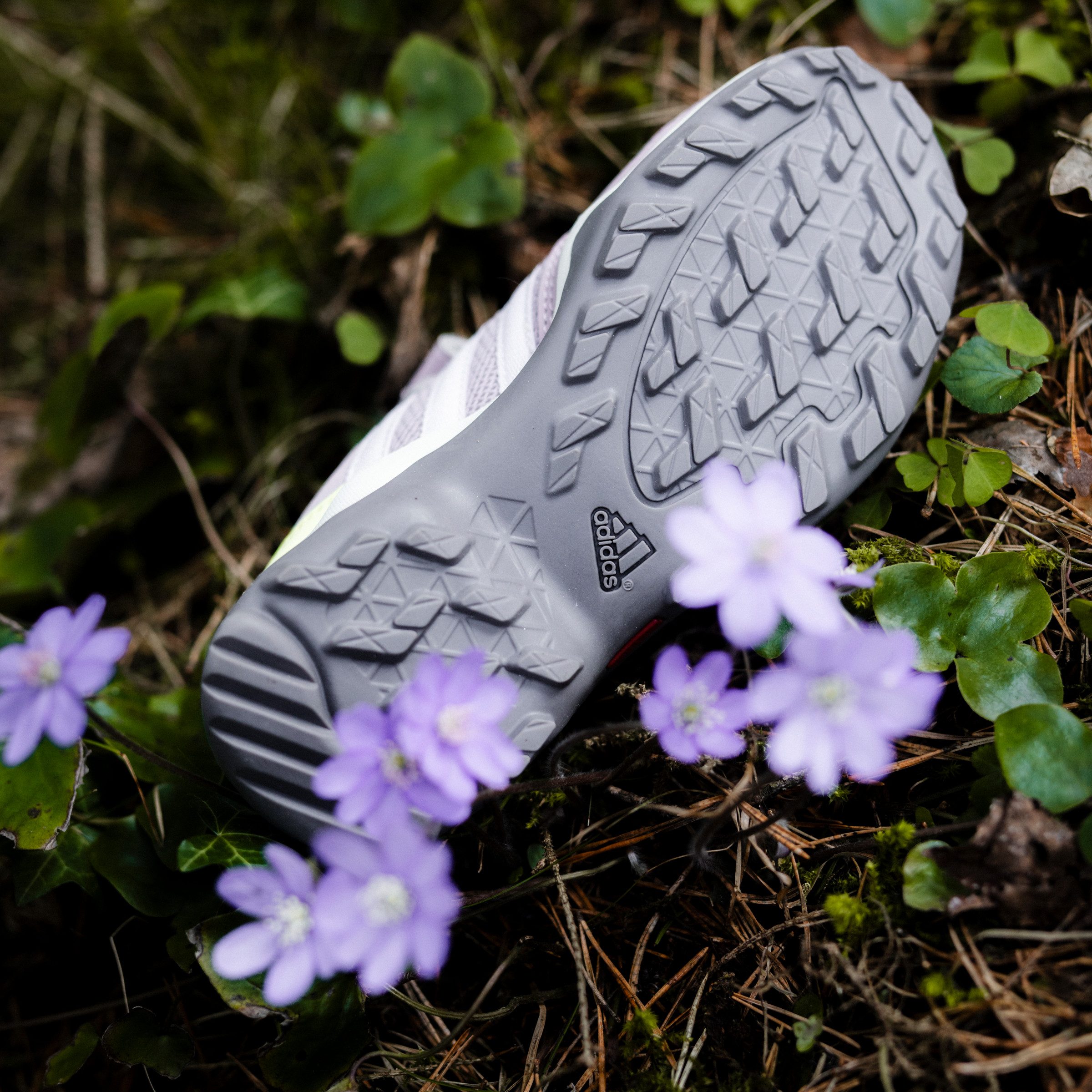 adidas TERREX Wandelschoenen TERREX AX2R HOOK-AND-LOOP