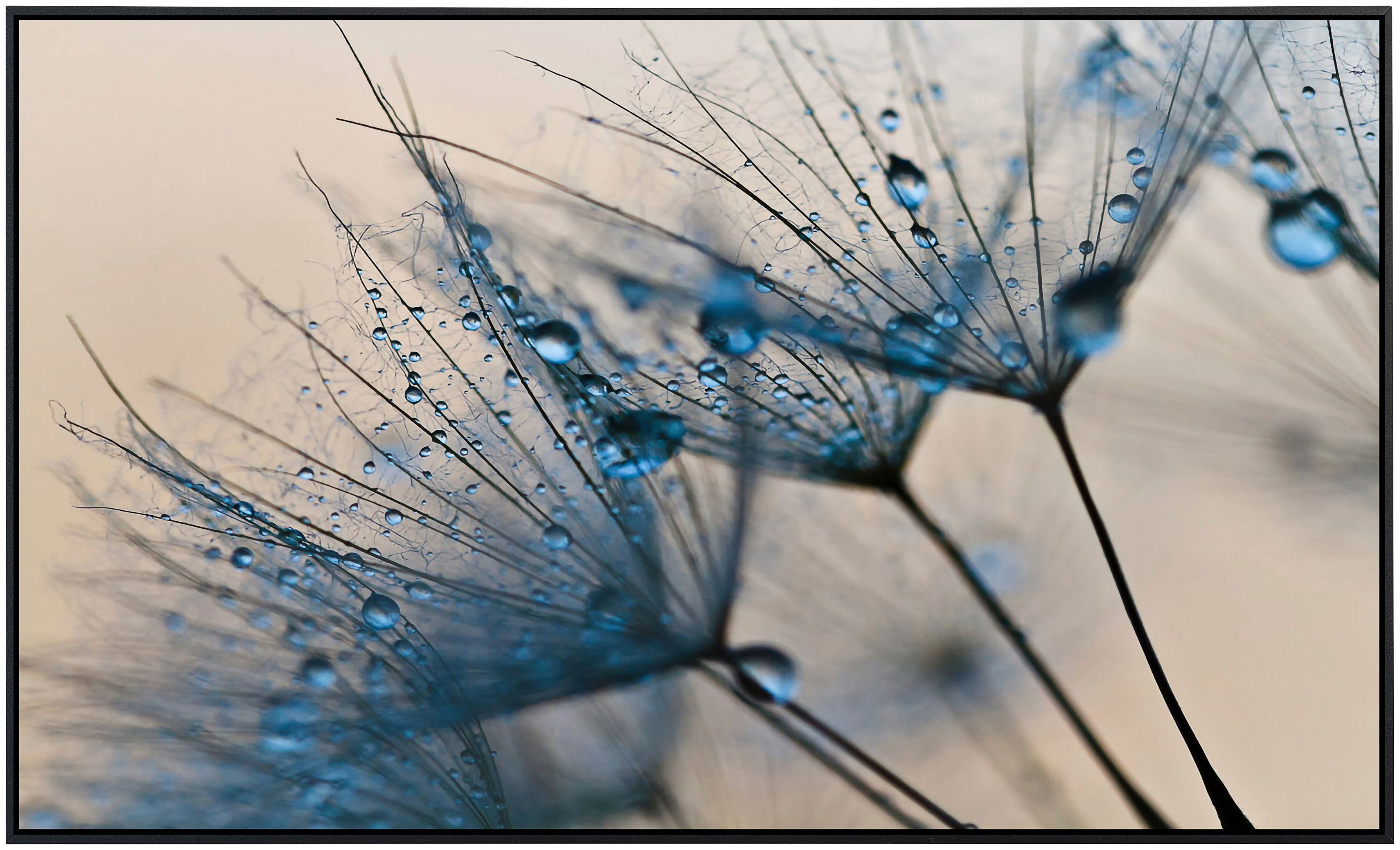 Papermoon Infraroodverwarming Abstracte paardenbloem zeer aangename stralingswarmte