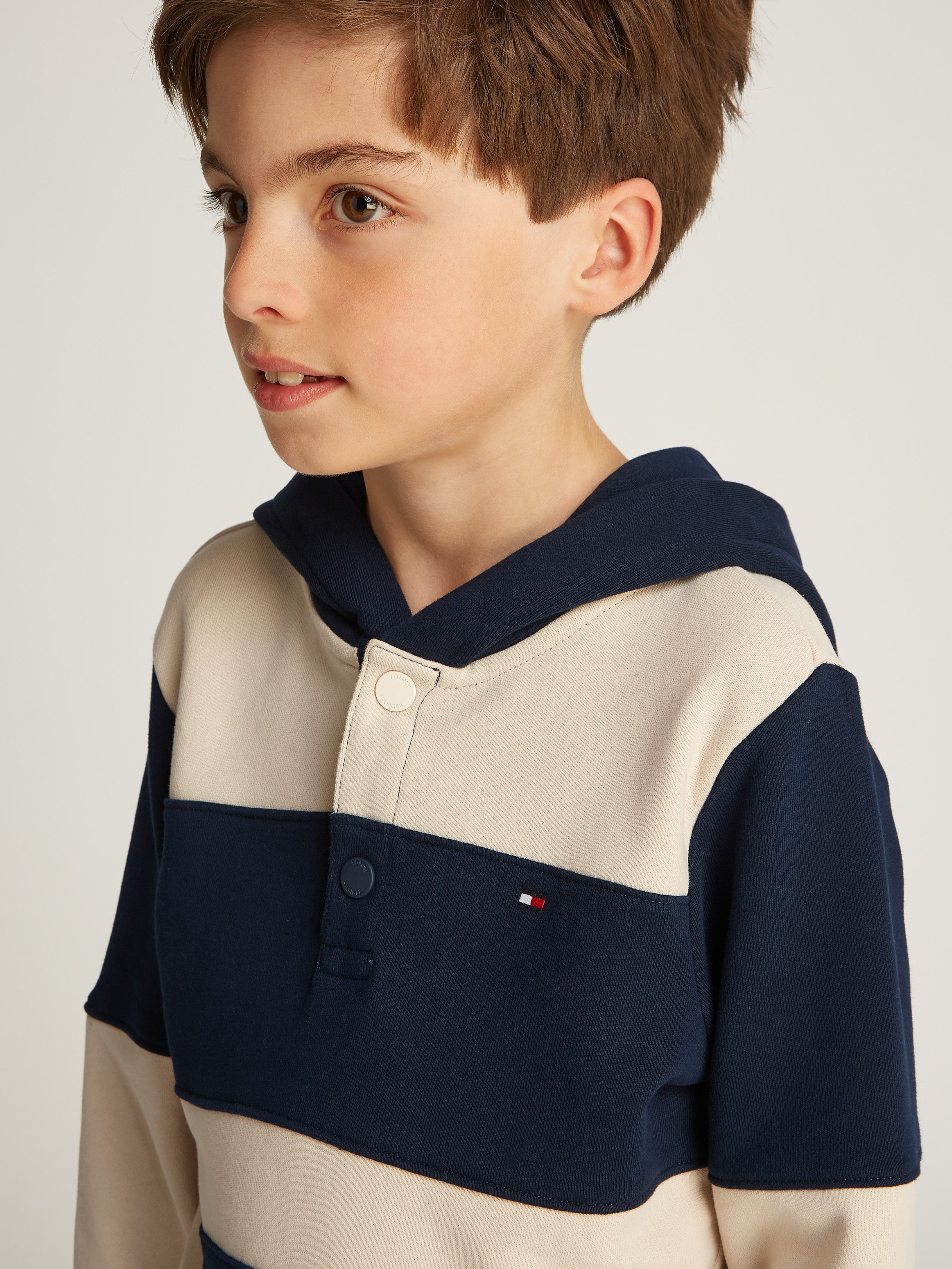Tommy Hilfiger Hoodie STRIPED REG HOODIE