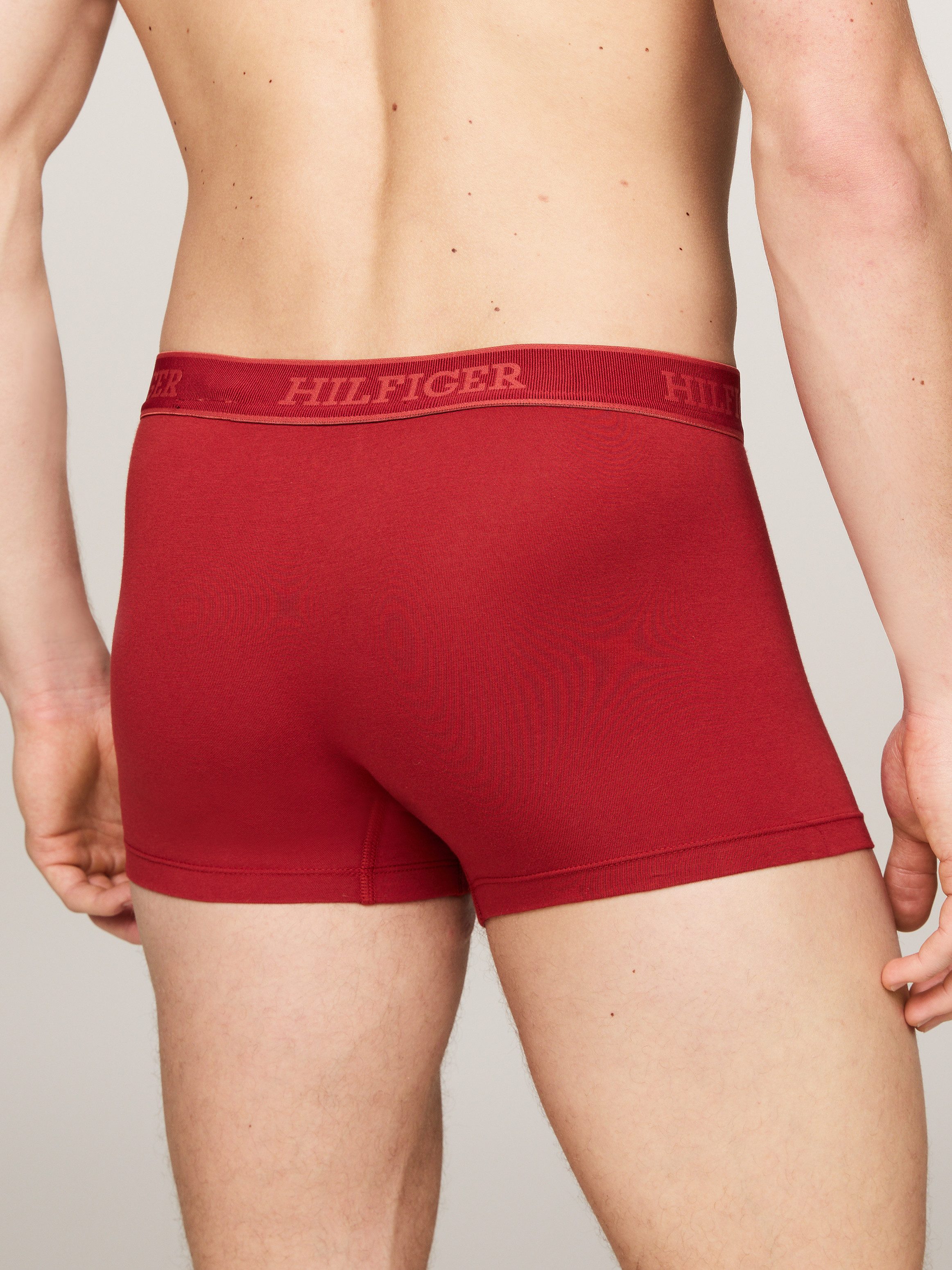Tommy Hilfiger Underwear Trunk 3P TRUNK (Set van 3)