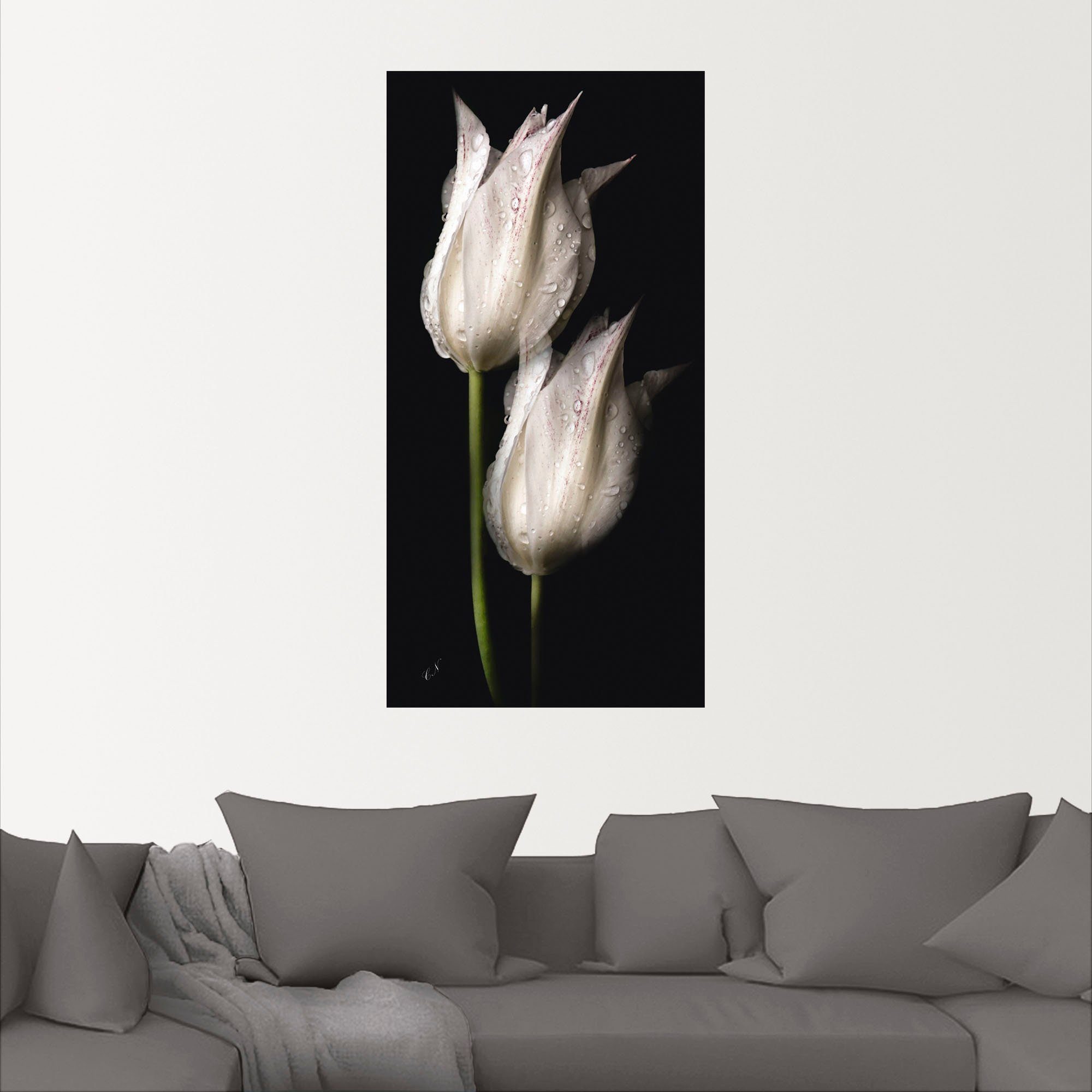 Artland Artprint Witte tulpen in de nacht als artprint van aluminium, artprint voor buiten, artprint op linnen, poster, muursticker