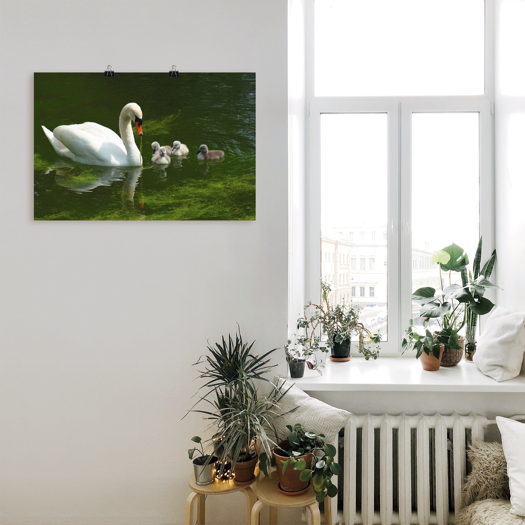 Artland Artprint Zwanen familie als artprint van aluminium, artprint op linnen, muursticker of poster in verschillende maten