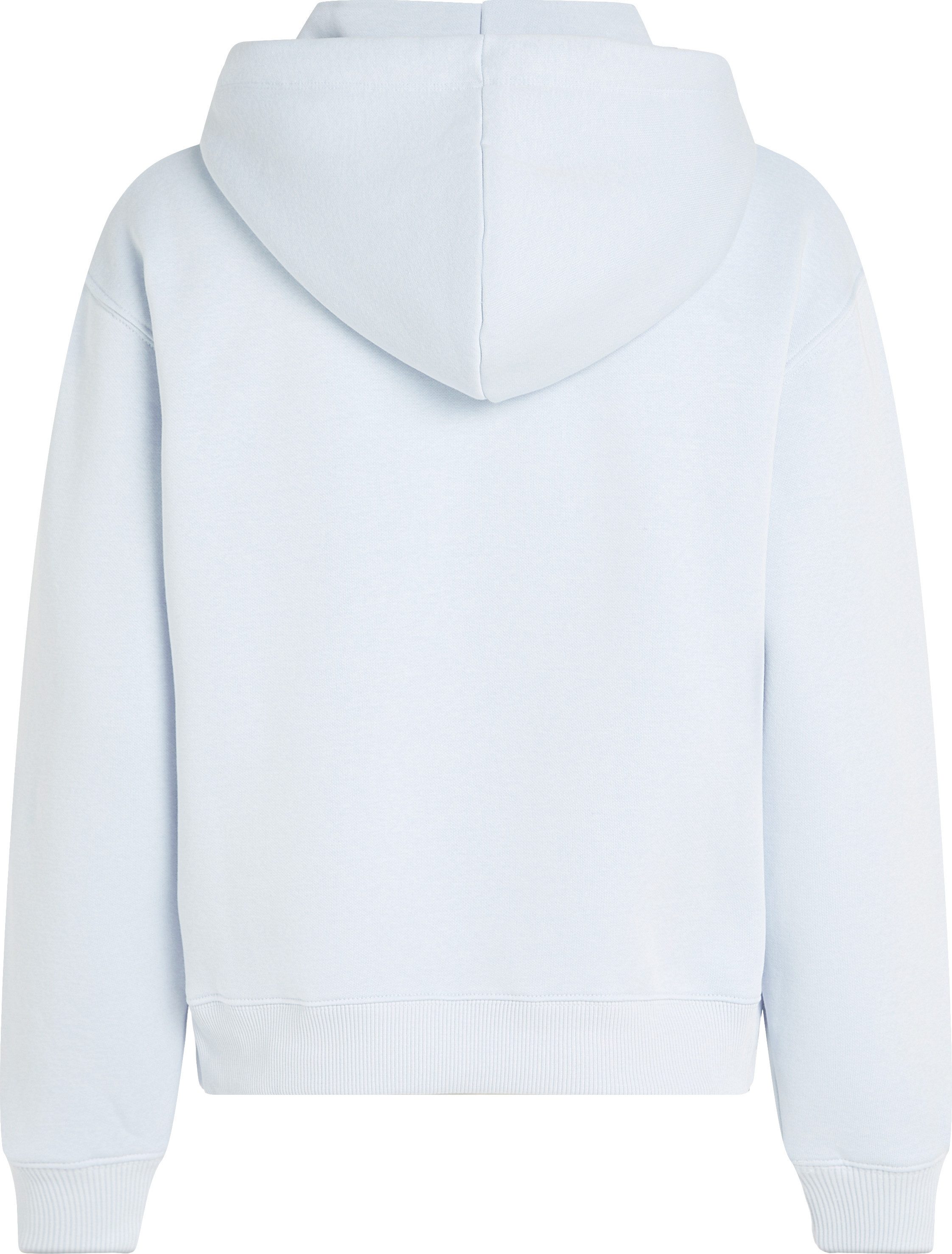 Tommy Hilfiger Hoodie MDRN REG CORP LOGO HOODIE met geborduurd logo-opschrift