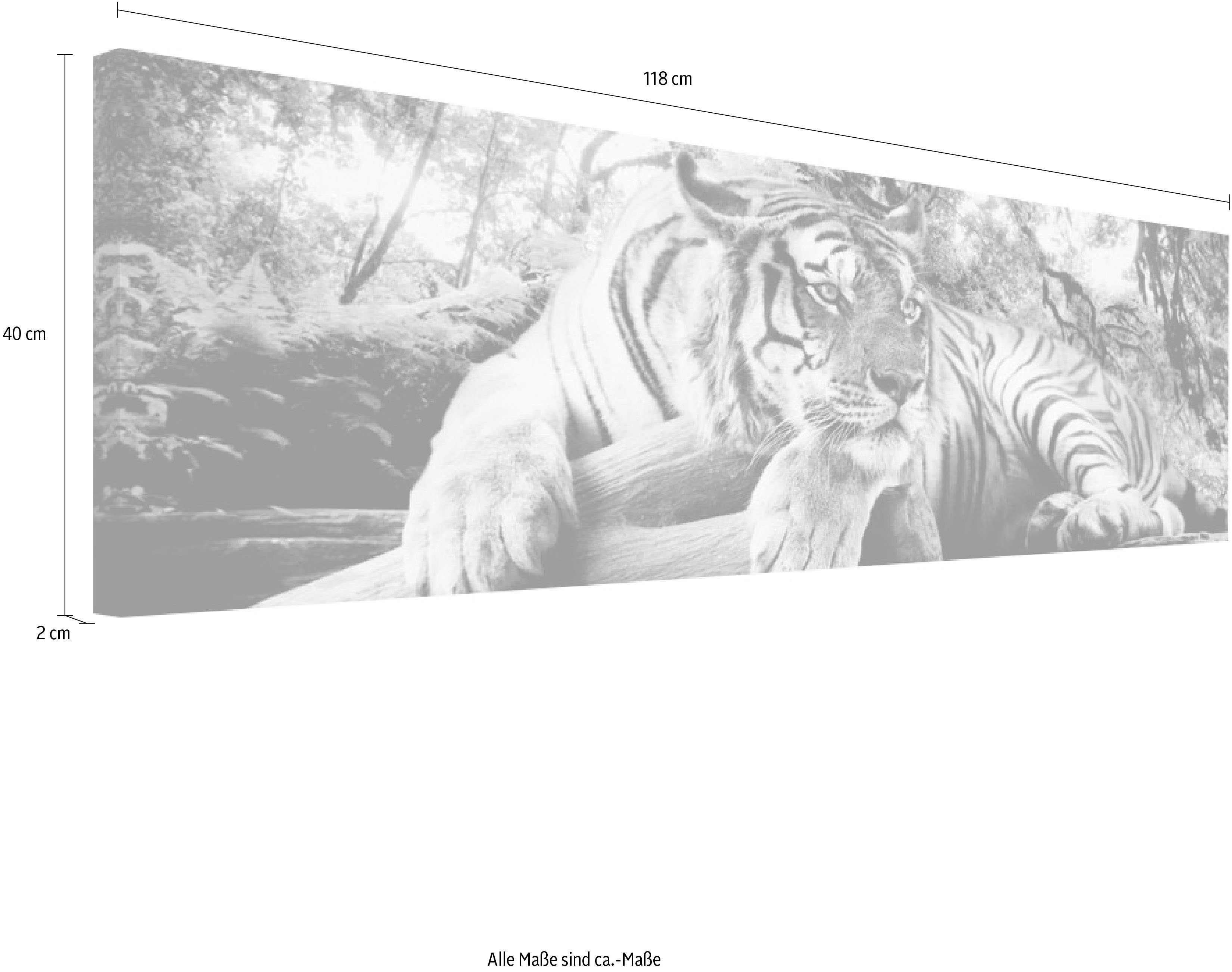Reinders! Artprint Tijgerblik artprint tijger - roofdier - artprint woonkamer - artprint