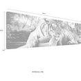 reinders! artprint tijgerblik artprint tijger - roofdier - artprint woonkamer - artprint zwart
