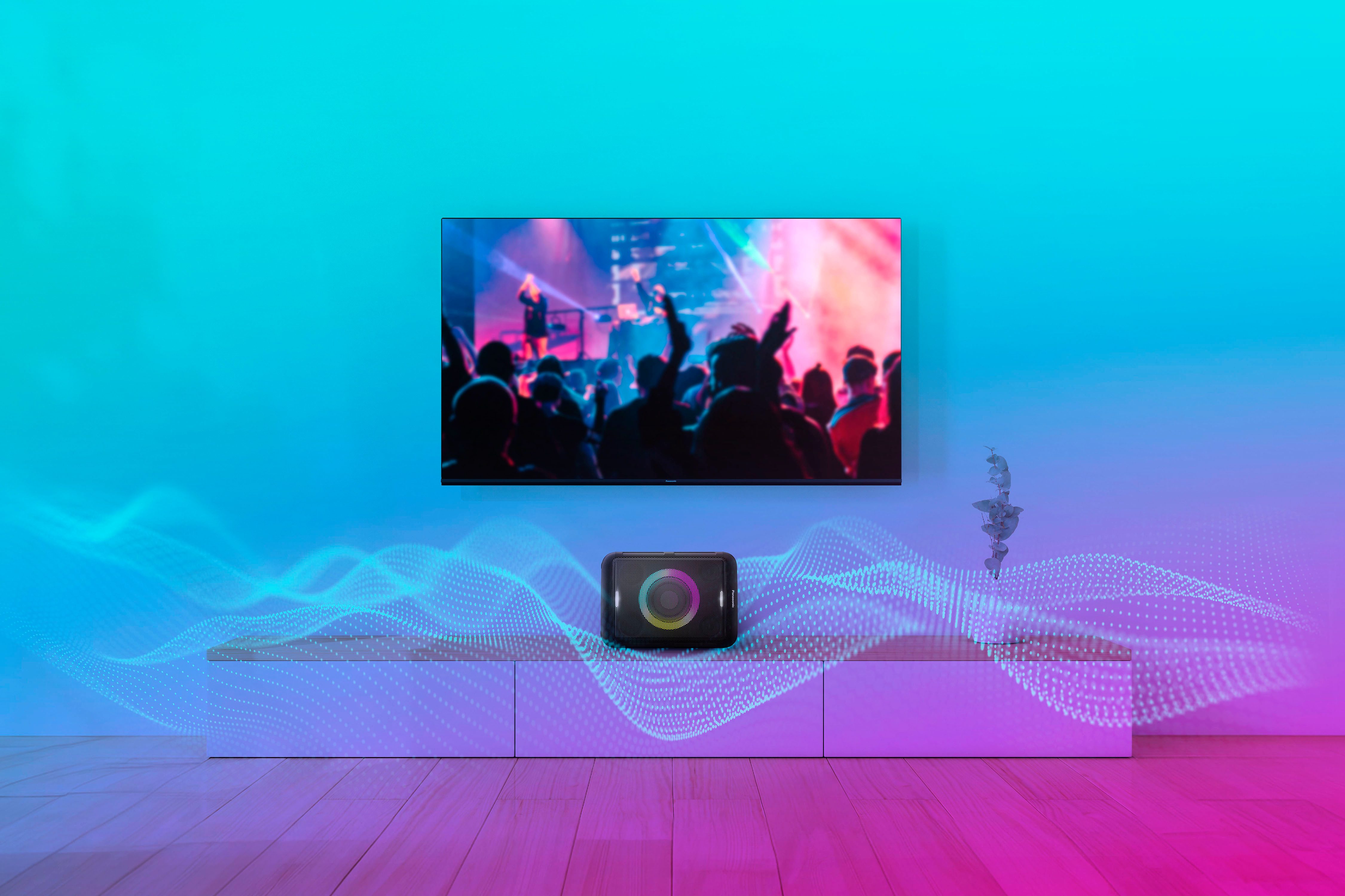 Panasonic Party-luidspreker BMAX5