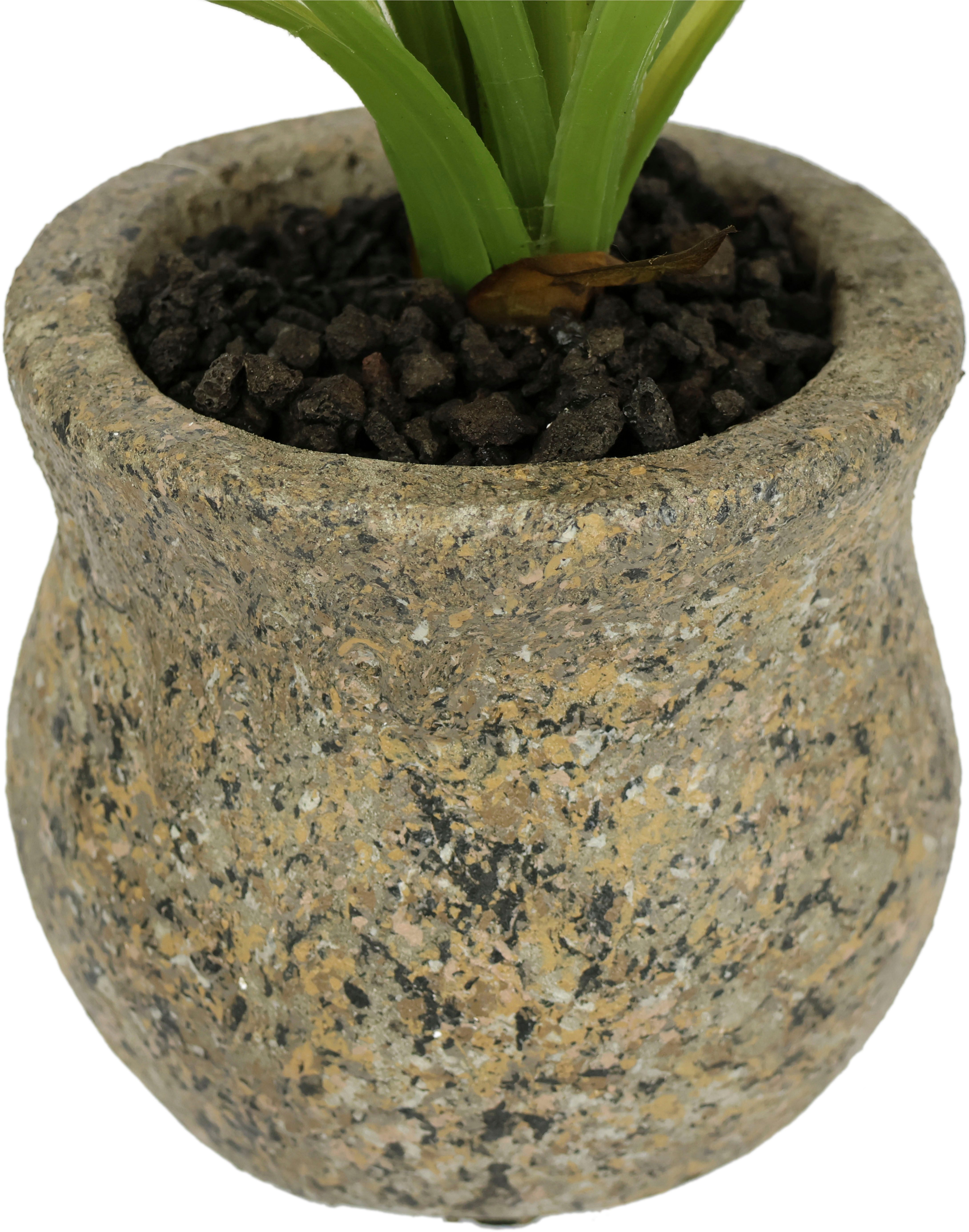 I.GE.A. Kunstbloem vlinderorchidee met keramische pot Met bladeren en luchtwortels, kunstorchidee Phalaenopsis, kunstplant (1 stuk)