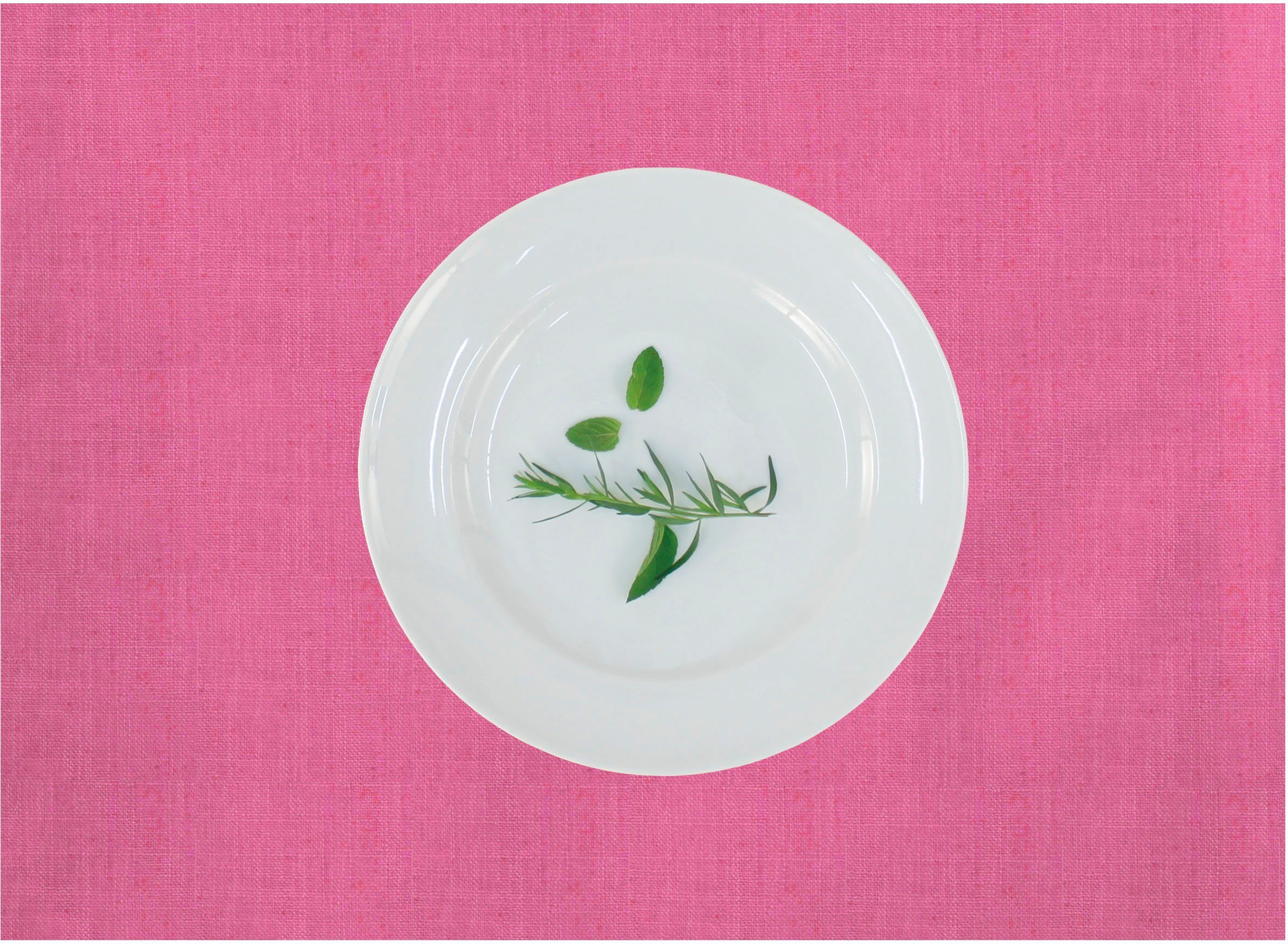 APELT Set placemats Arizona, Uni-Basic (set, 2 stuks) tafelkleden roze