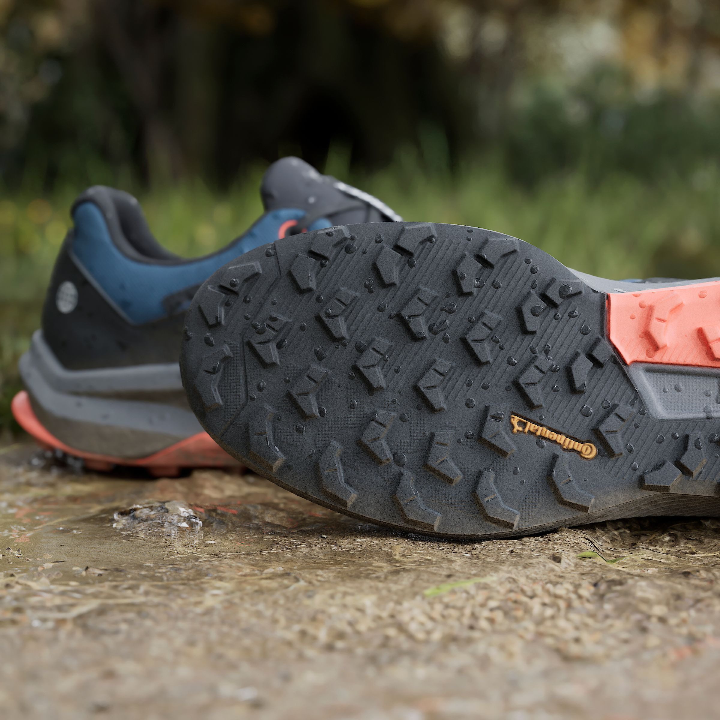 adidas TERREX Trailrunningschoenen TRAIL RIDER GORE-TEX TRAILRUNNING