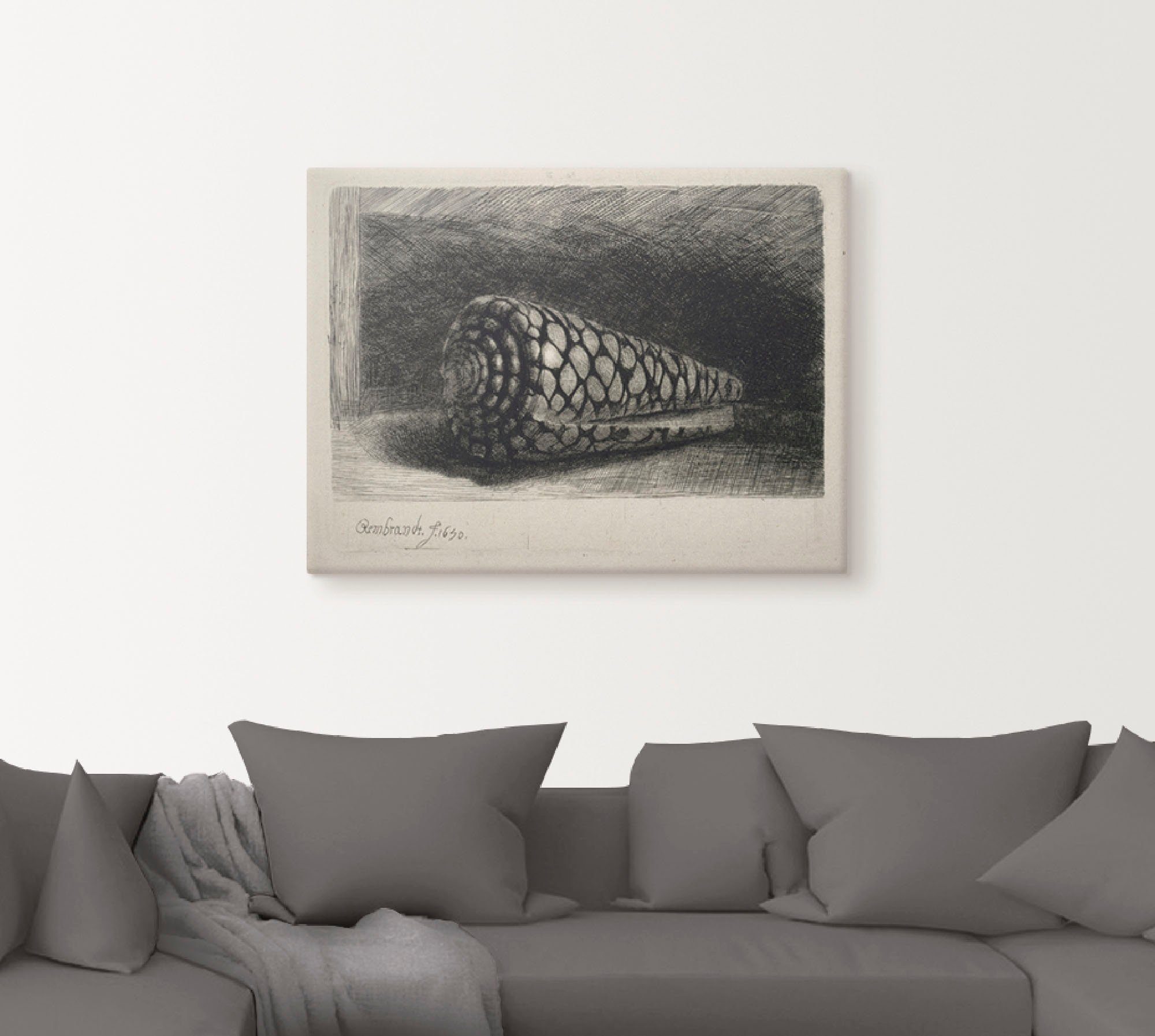 Artland Artprint De schelp. 1650 als artprint op linnen, muursticker of poster in verschillende maten