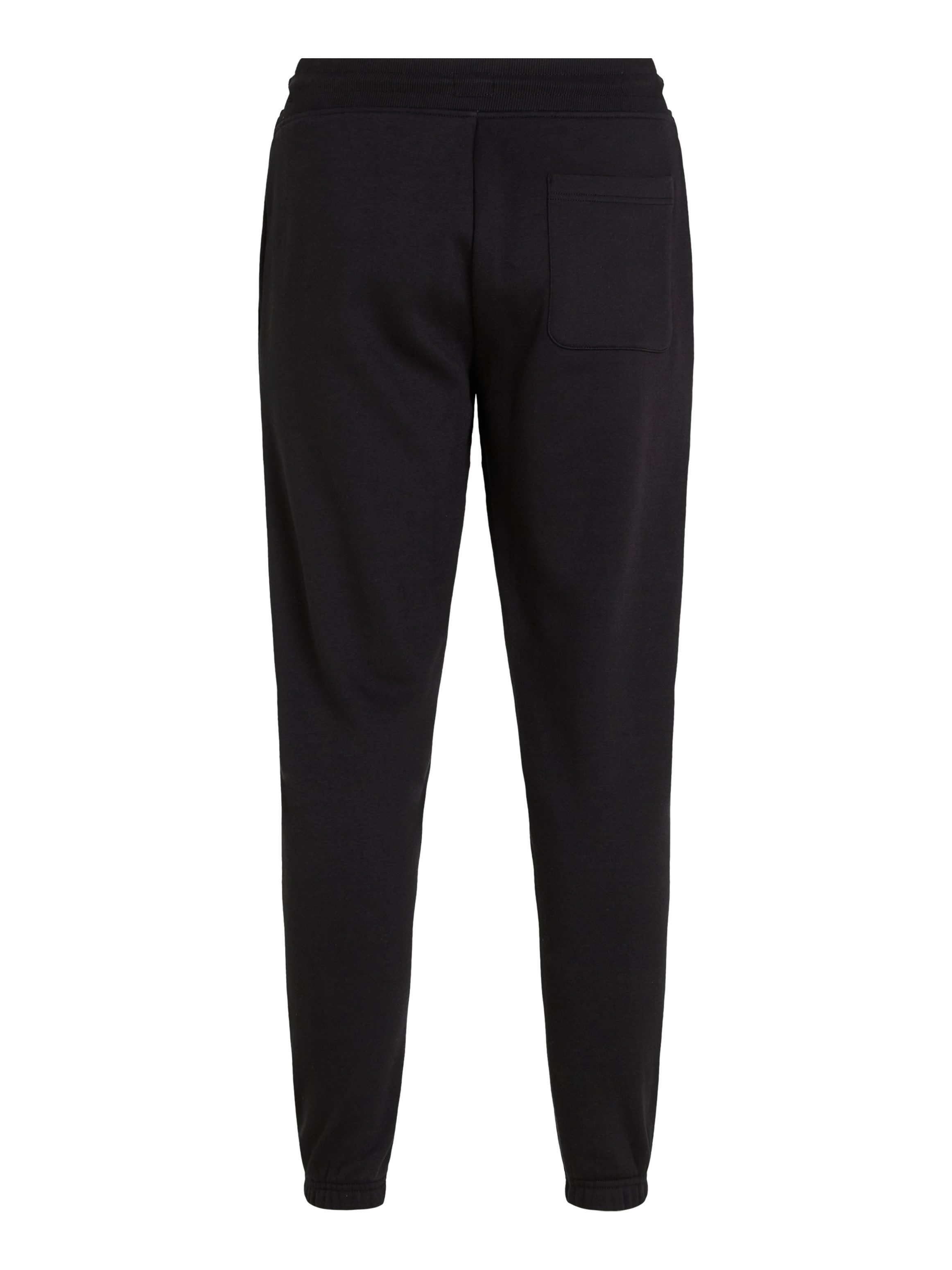 TOMMY JEANS Sweatbroek TJM SLIM S FLAG SWEATPANT