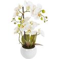 delavita kunstorchidee ernestine kunstplant, in een pot wit
