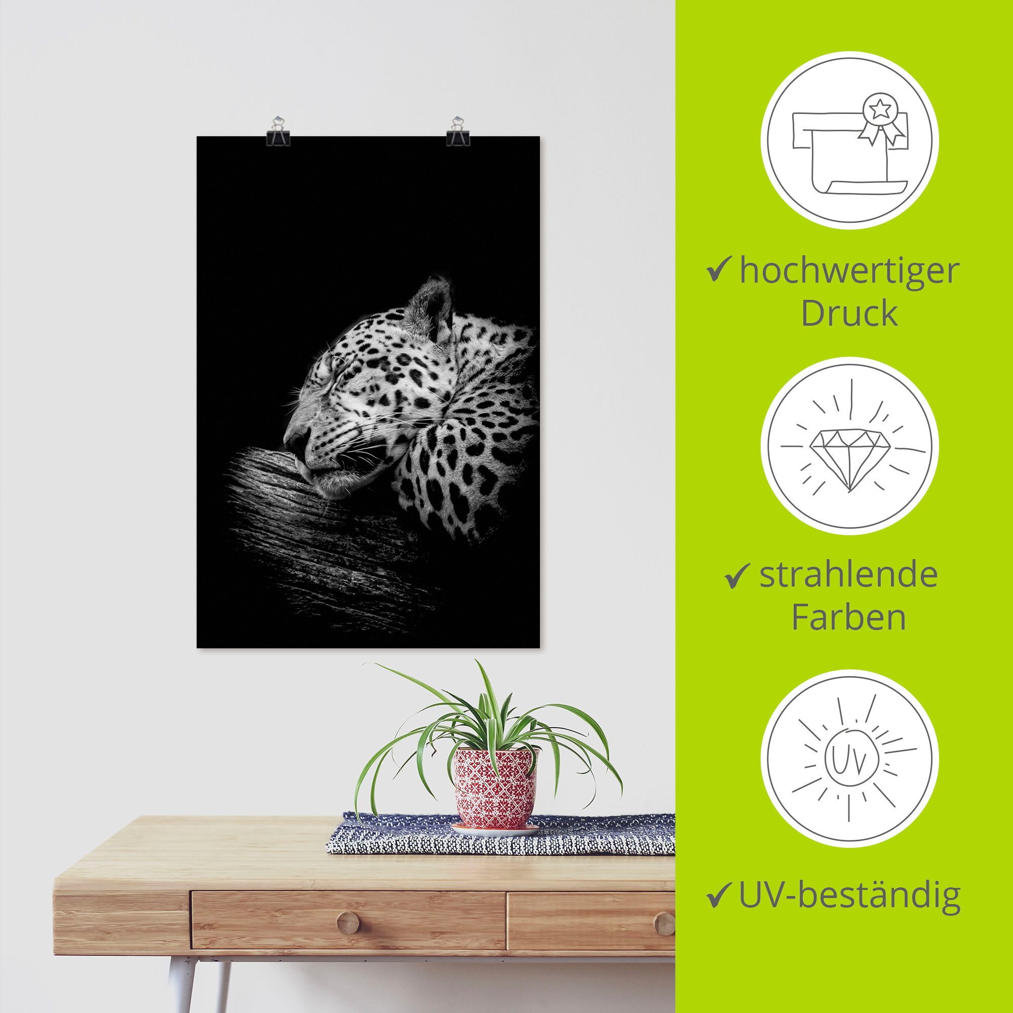 Artland Artprint De slapende jaguar als artprint van aluminium, artprint voor buiten, artprint op linnen, poster in verschillende maten. maten