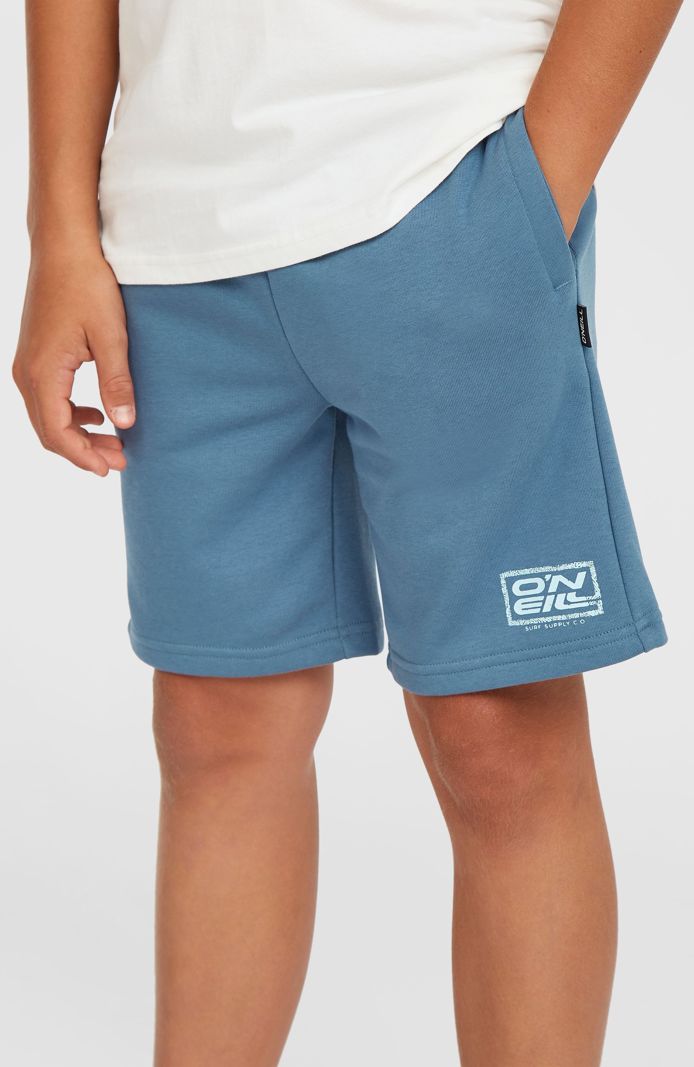 O'Neill Zwemshort O'NEILL LOGO SWEATSHORTS