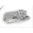 artland artprint luipaard highkey look in vele afmetingen  productsoorten - artprint van aluminium - artprint voor buiten, artprint op linnen, poster, muursticker - wandfolie ook geschikt voor de badkamer (1 stuk) zwart
