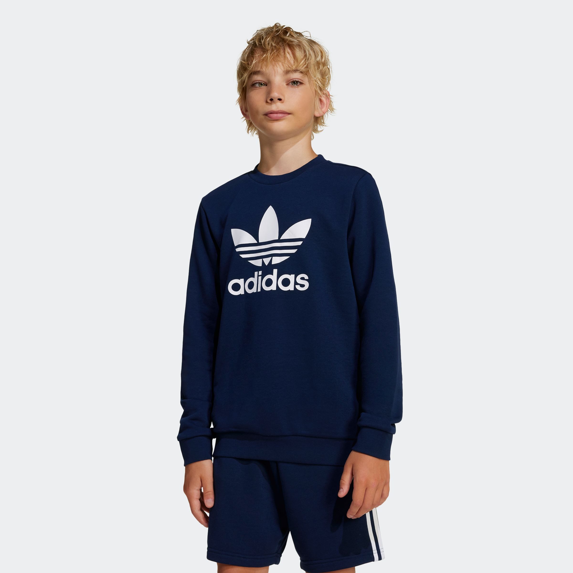 adidas Originals Sweatshirt TREFOIL CREW