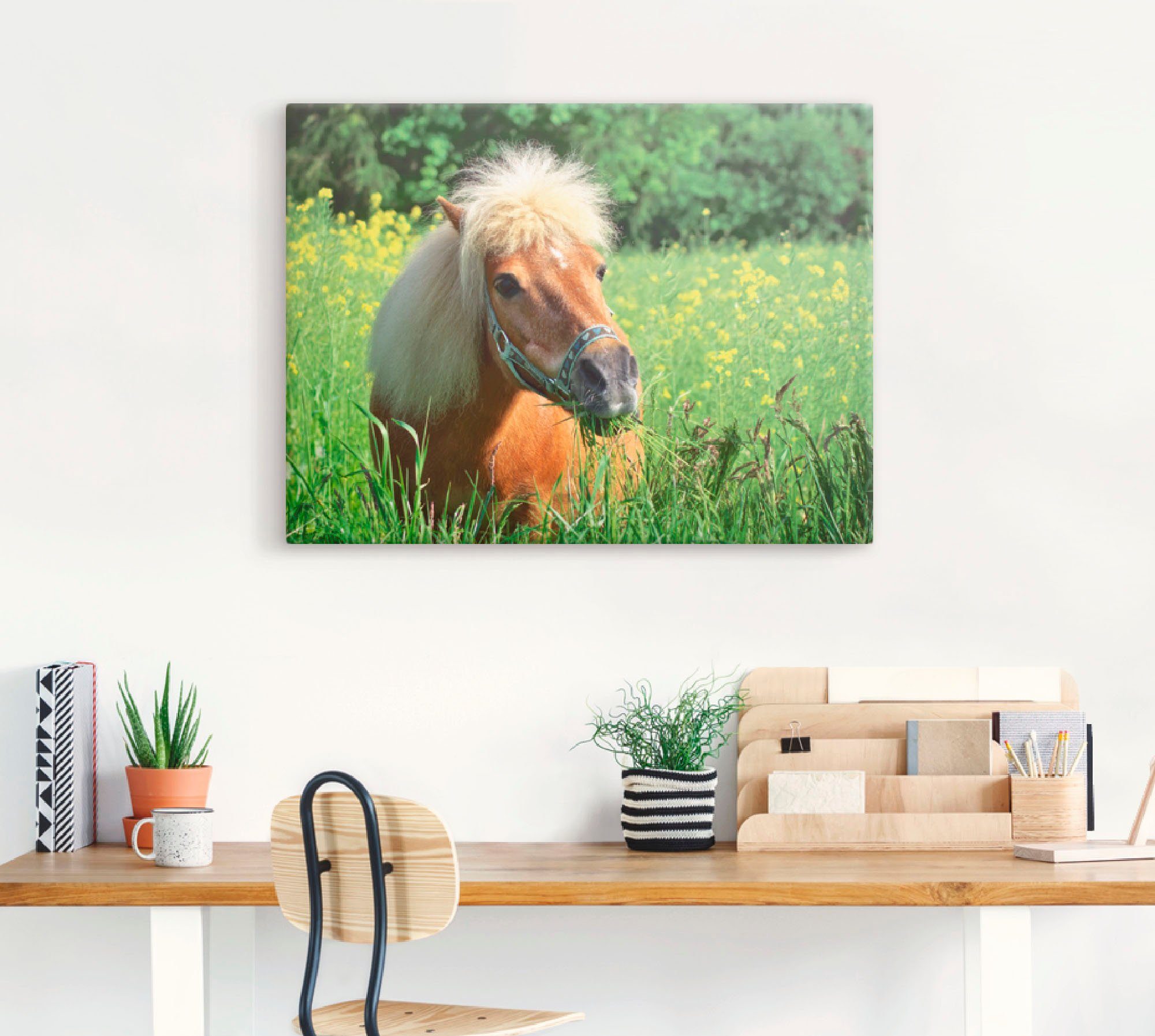 Artland Artprint Shetland pony als artprint op linnen, muursticker in verschillende maten