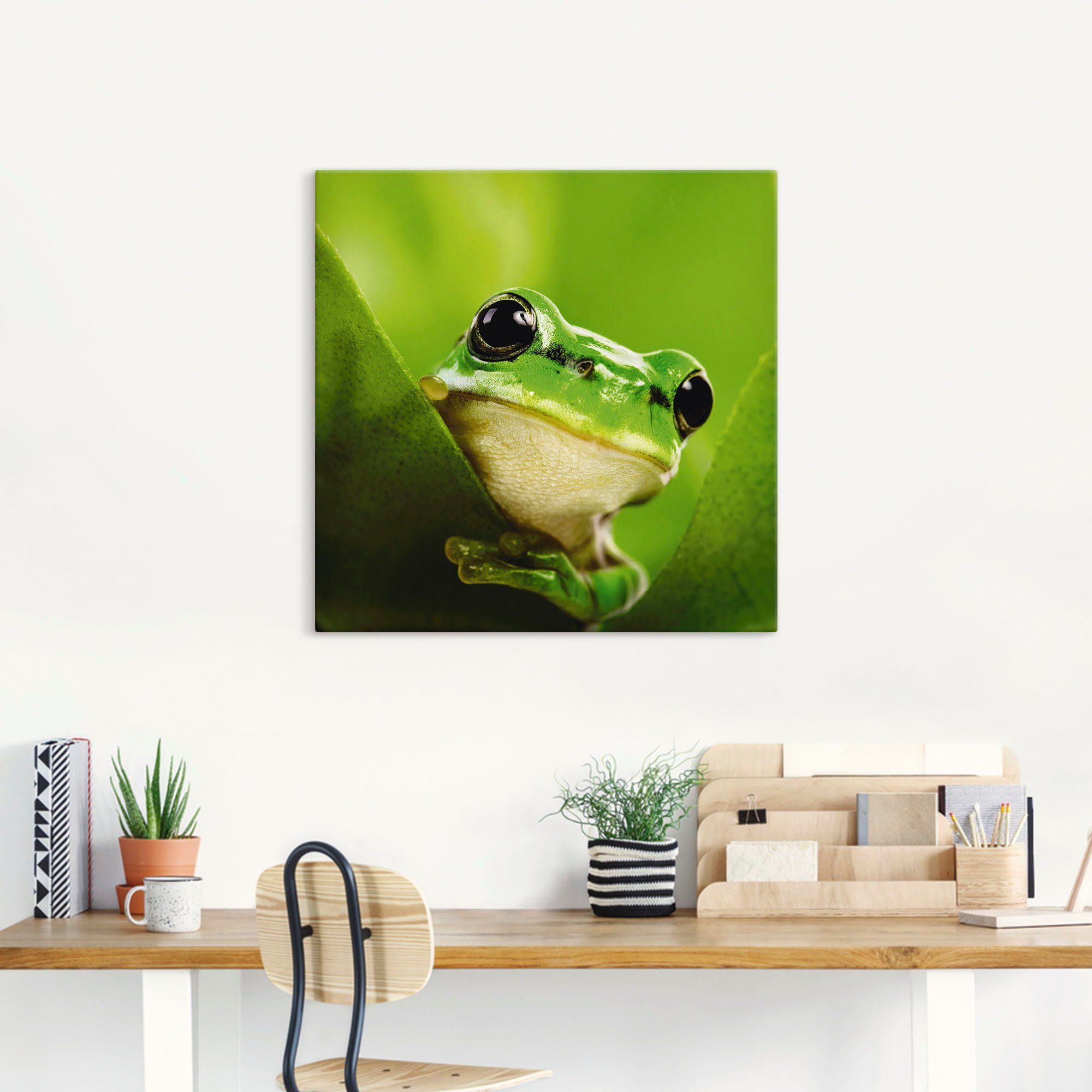 Artland Artprint Kijkende kikker als artprint op linnen, poster in verschillende formaten maten