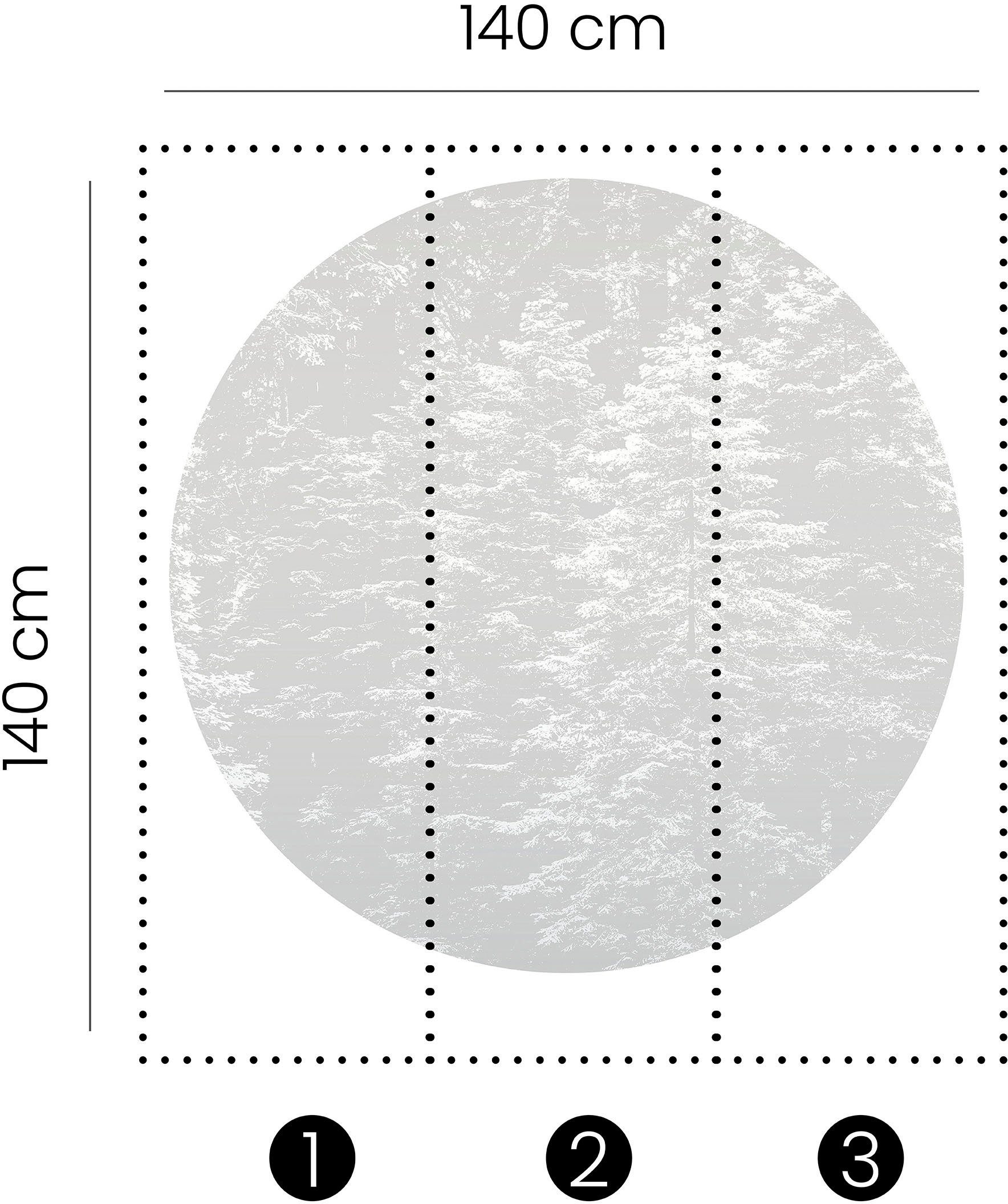 Fashion for walls Fotobehang Hazy Pines Ftalaten vrij