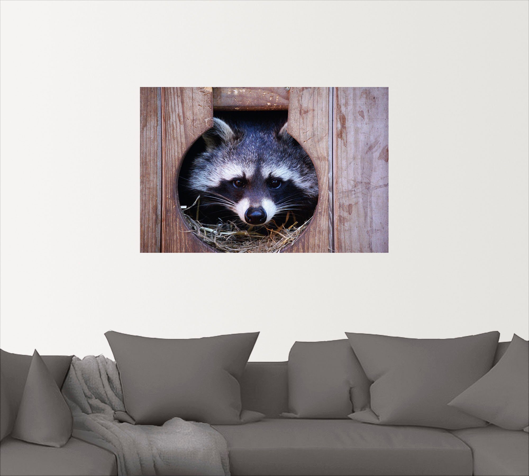 Artland Artprint Schattige kleine wasbeer als artprint op linnen, muursticker in verschillende maten