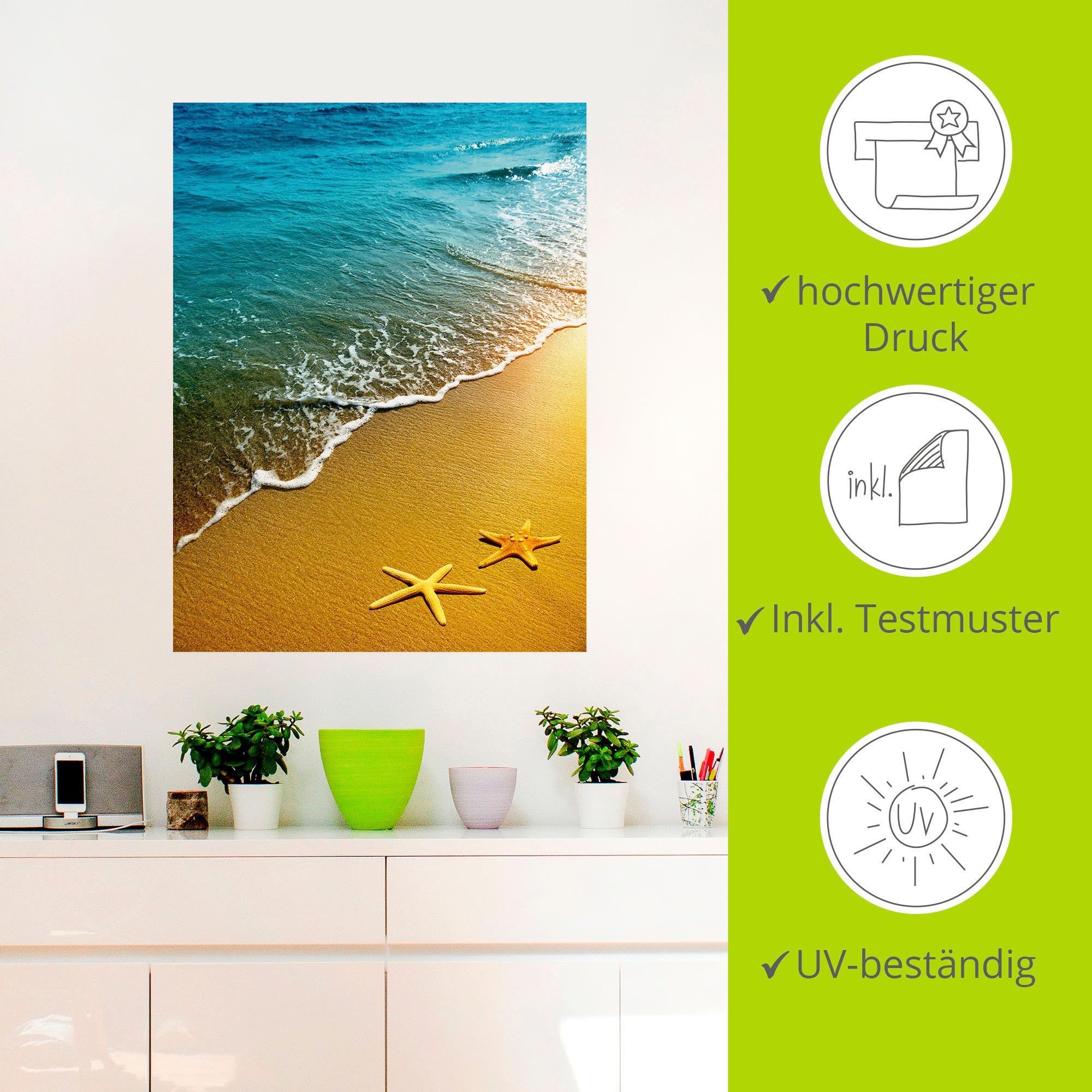 Artland Wandfolie Zeesterren zelfklevend