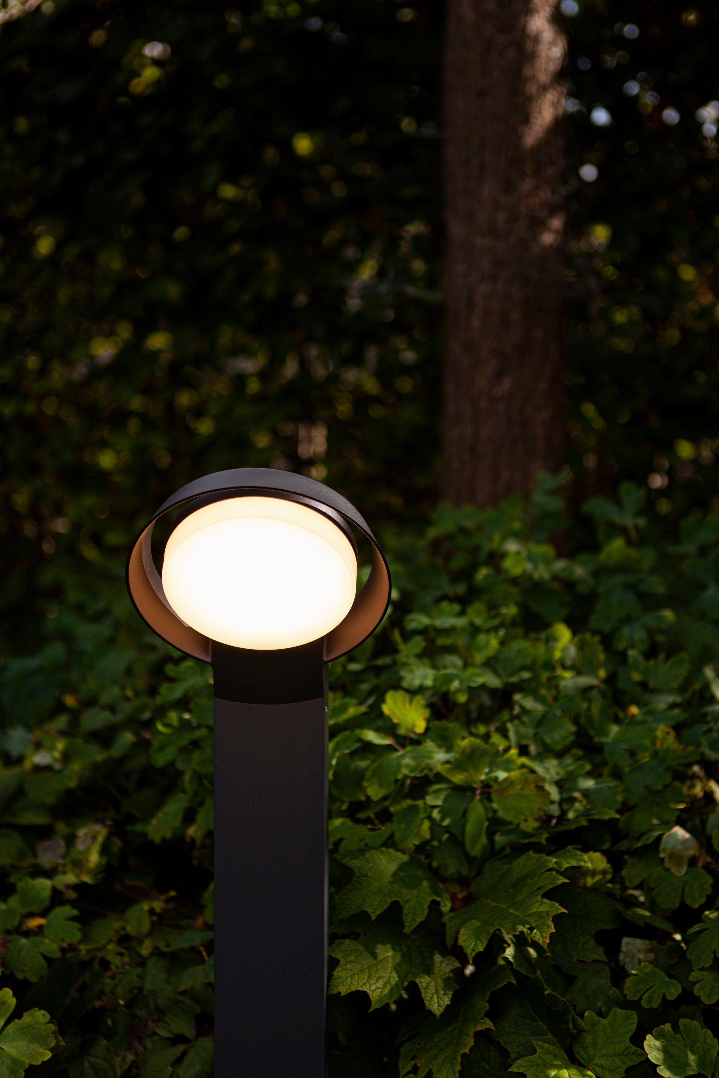 LUTEC Ledwandlamp voor buiten Polo (1 stuk)