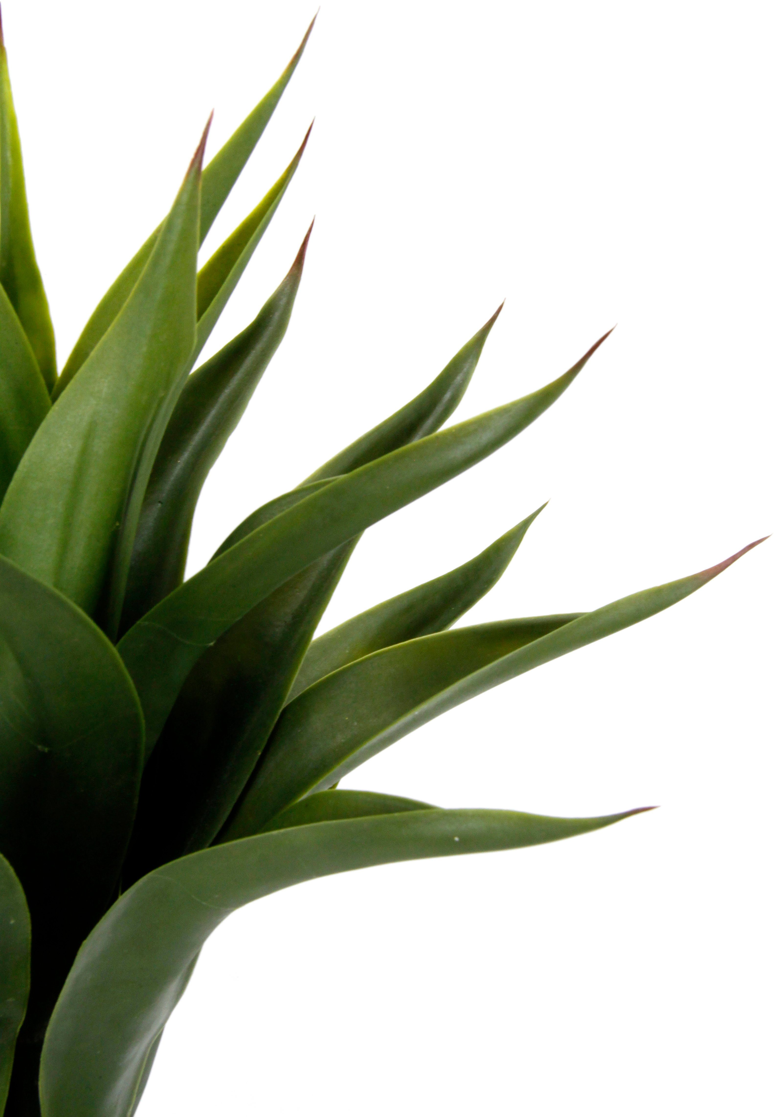 I.GE.A. Kunstplant Kunstmatige Agave in pot plant Aloë Vera Sansevieria (1 stuk)